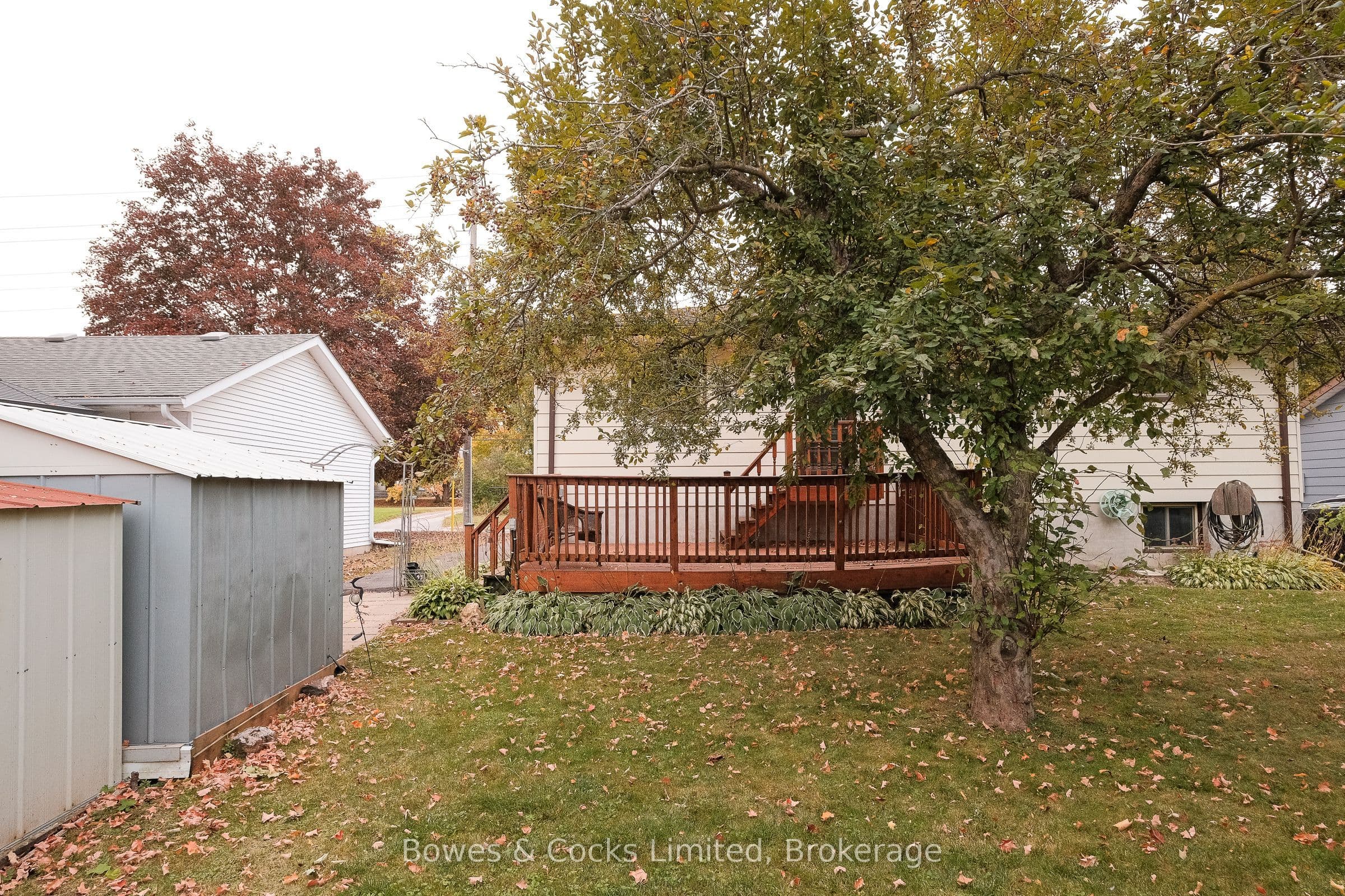 Listing 334825 Image