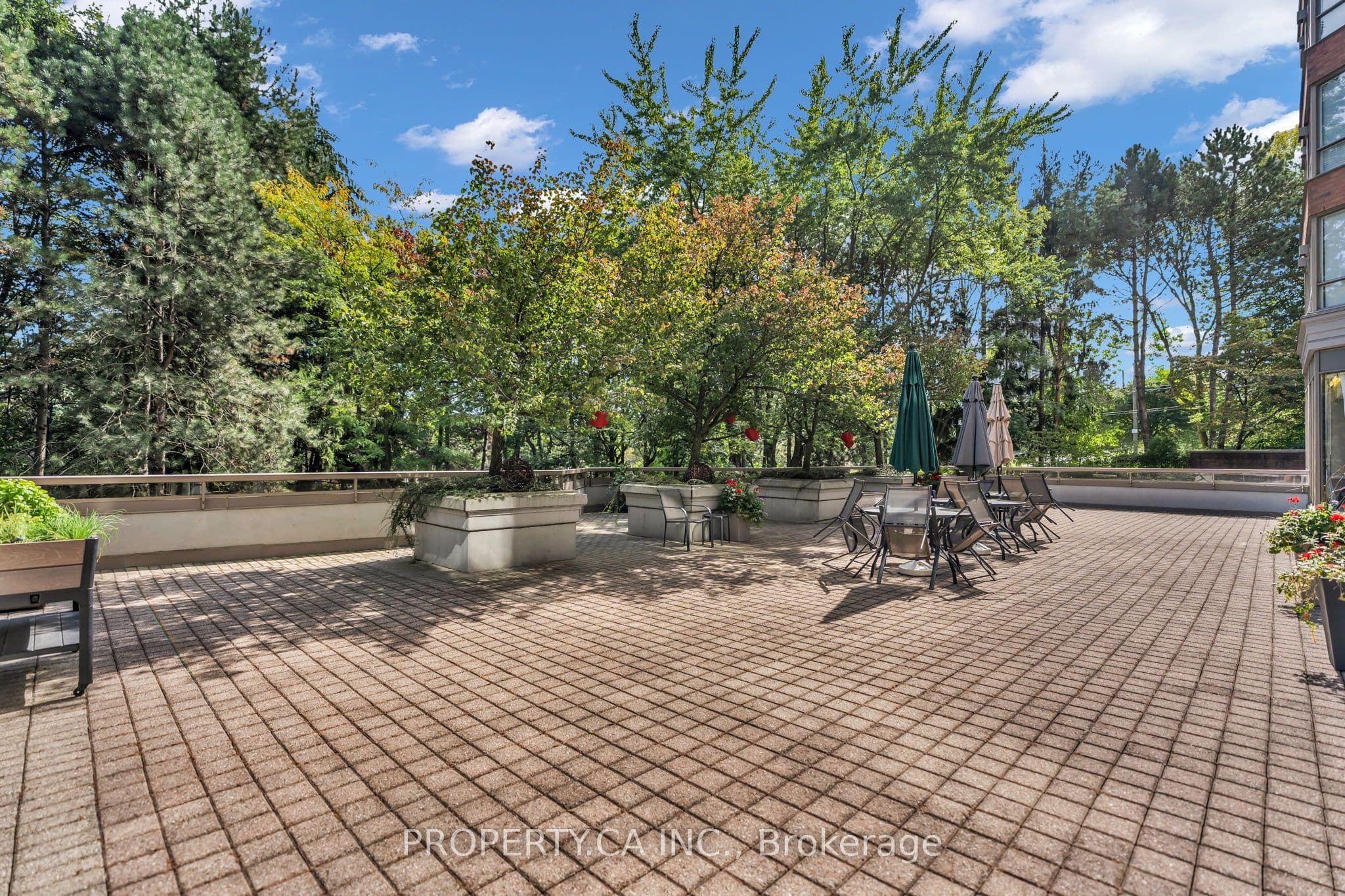 Listing 335698 Image