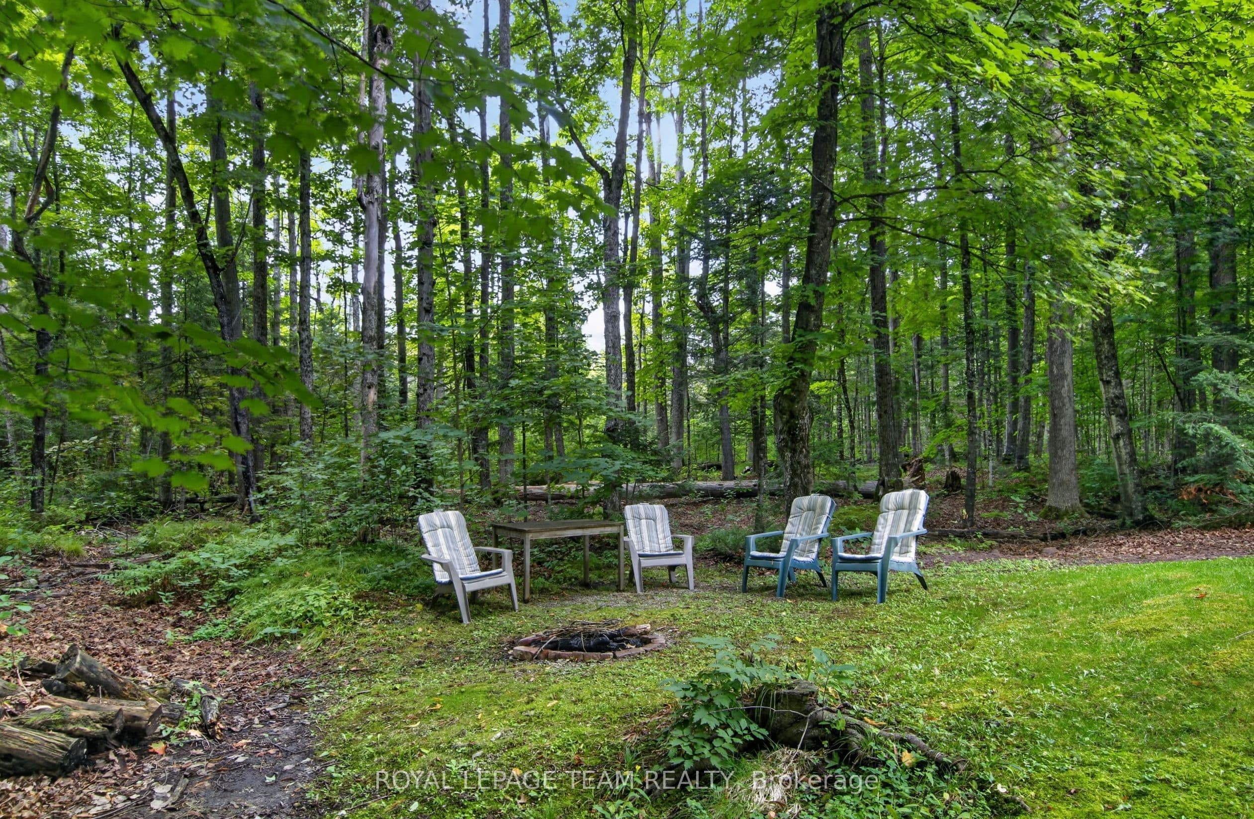 Listing 334135 Image