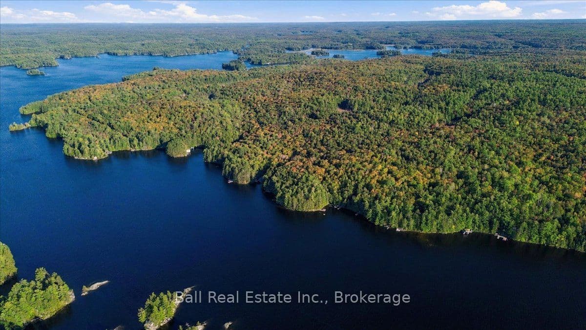 Listing 335231 Image