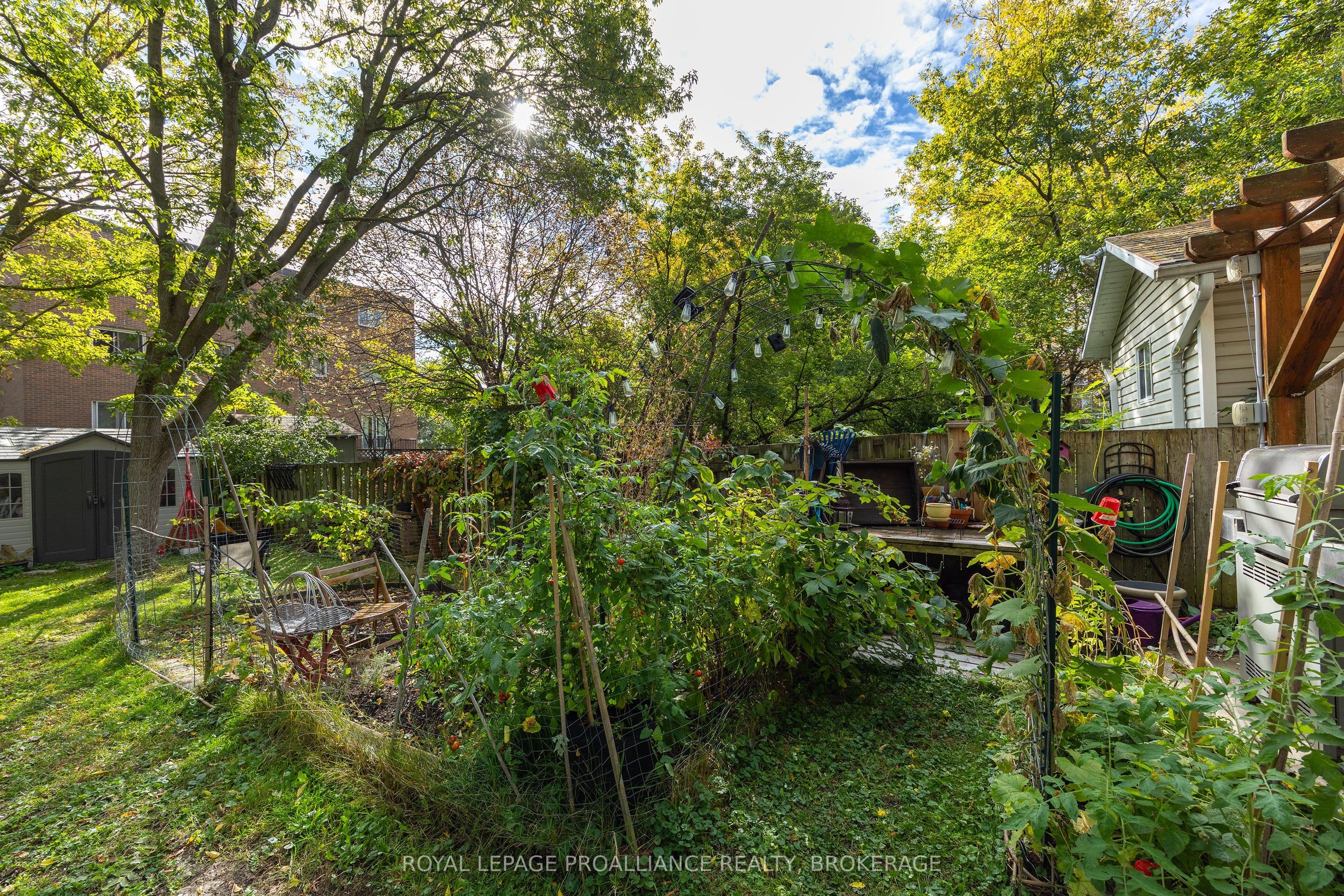 Listing 334617 Image