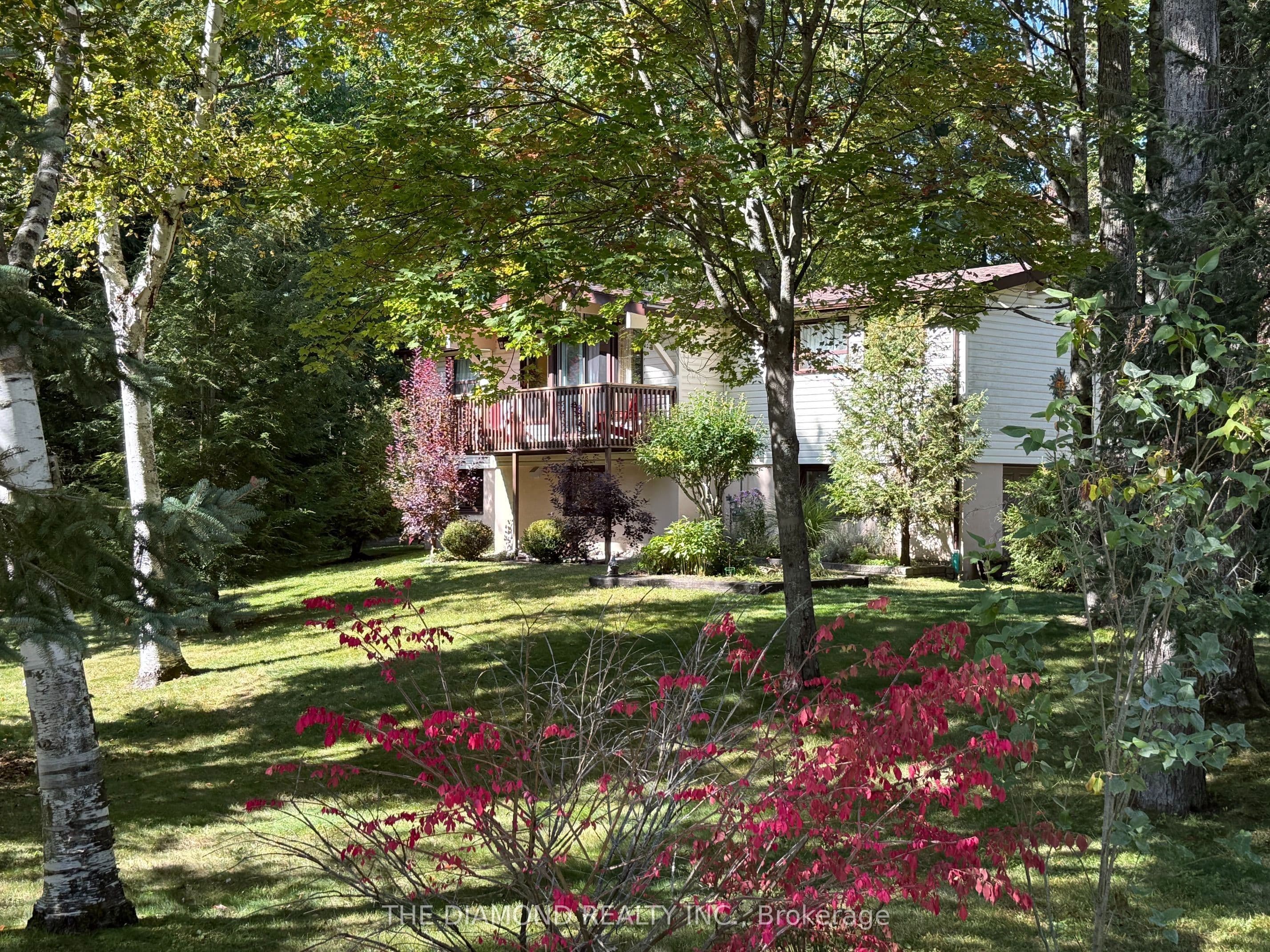 Listing 334562 Image