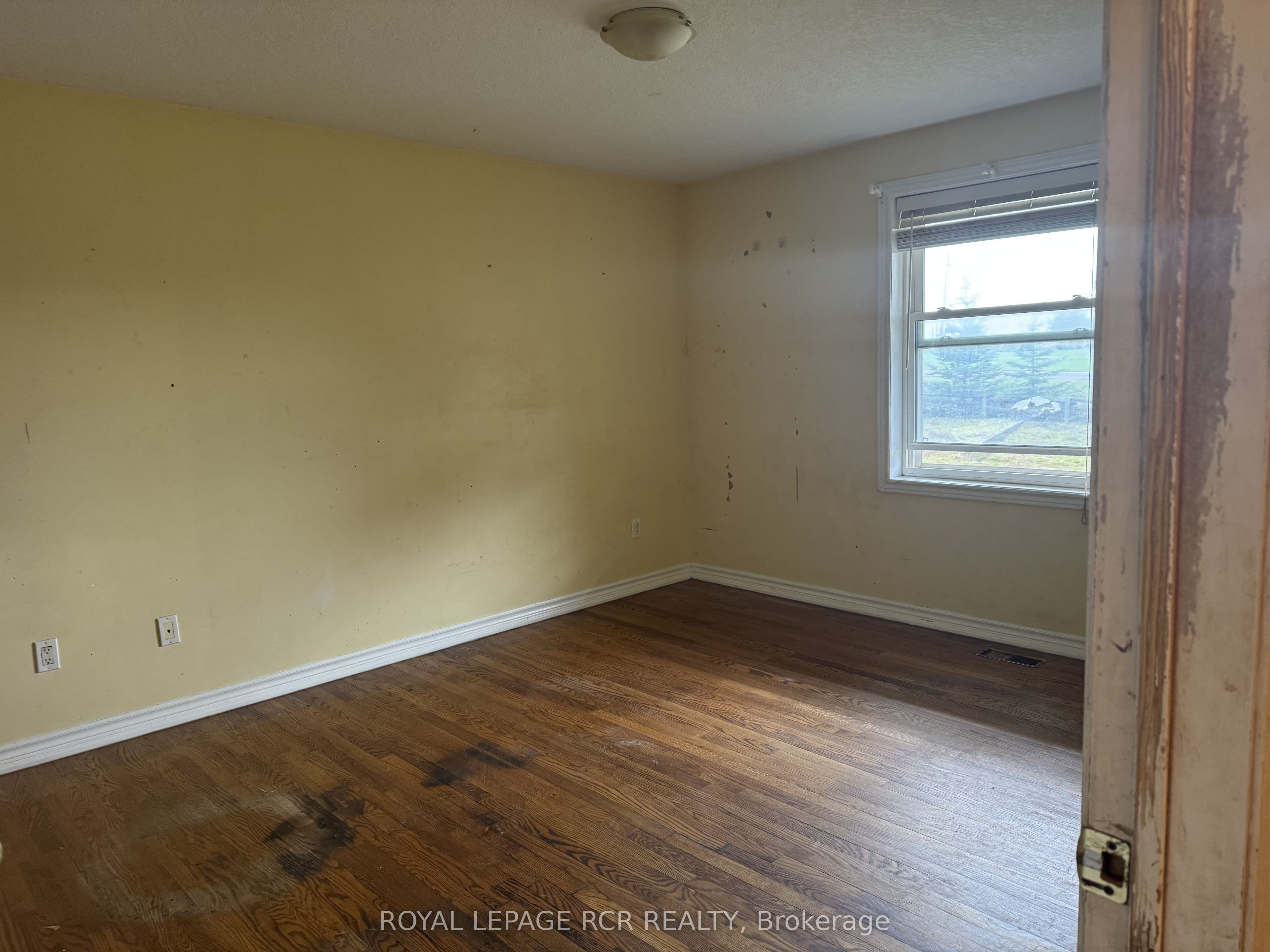 Listing 343470 Image