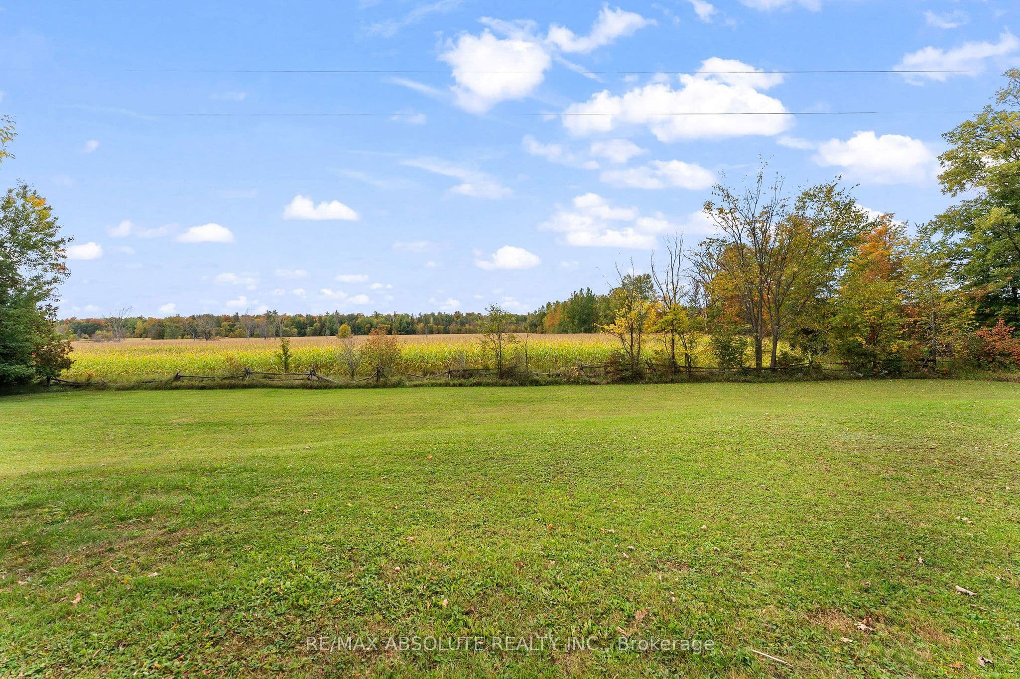 Listing 341554 Image