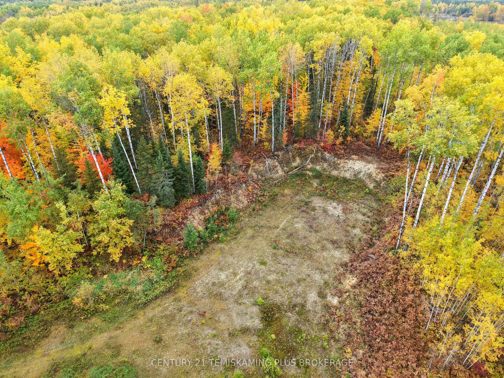 Listing 343080 Image