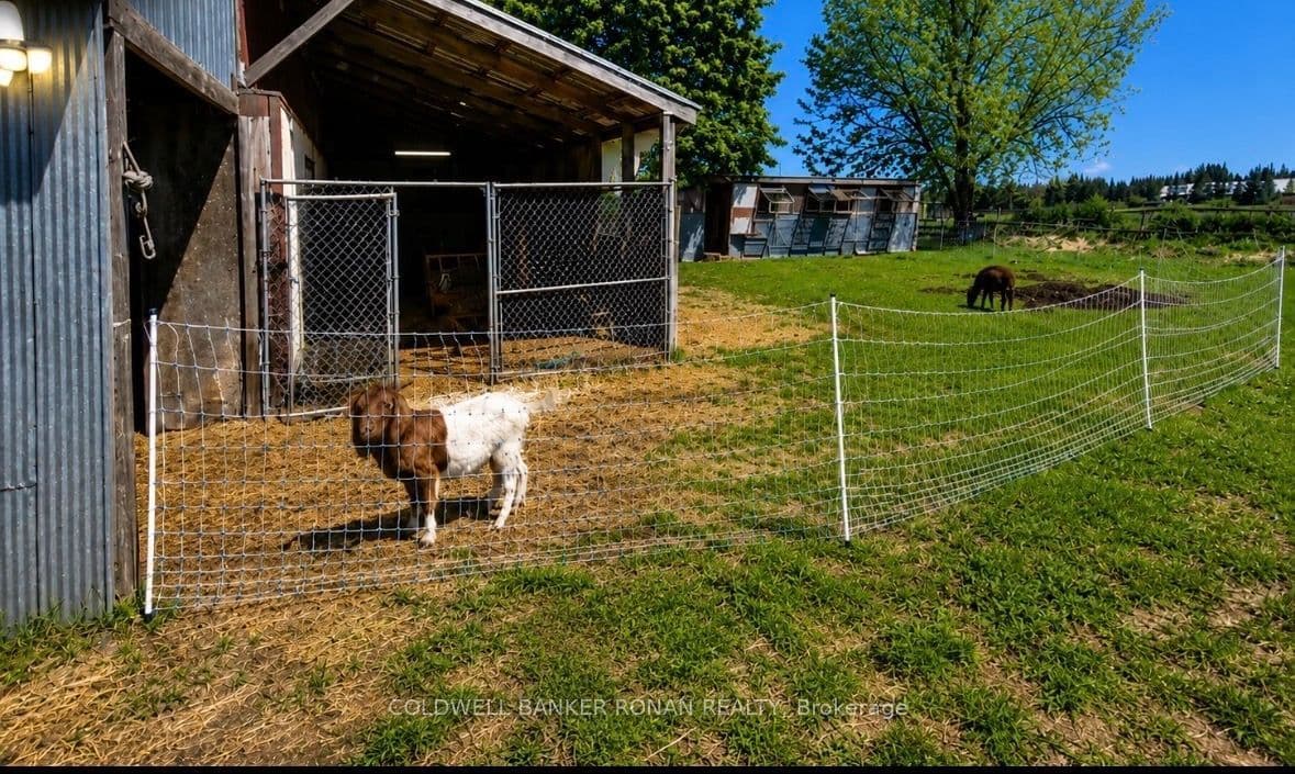 Listing 342624 Image