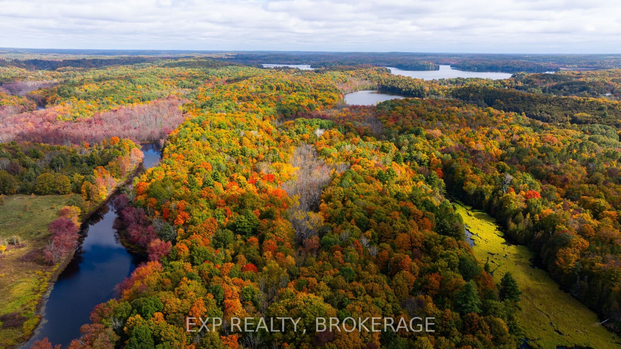 Listing 340156 Image