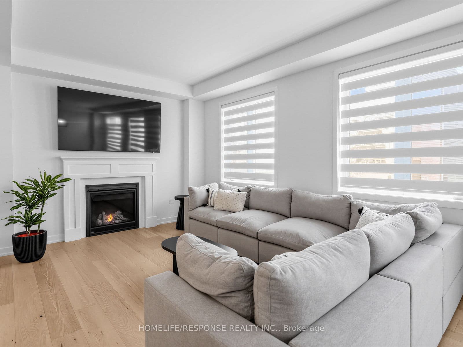 Listing 335513 Image