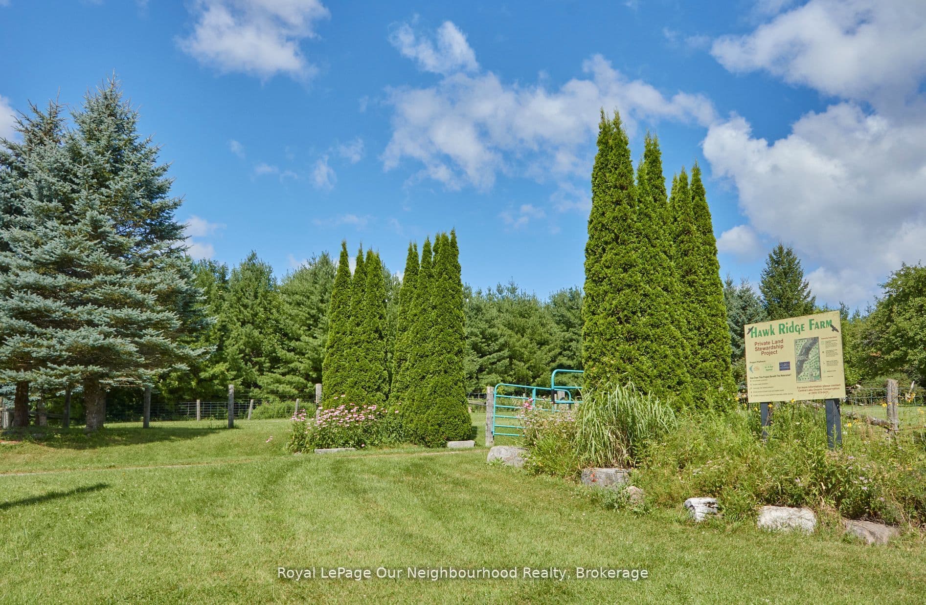 Listing 342571 Image