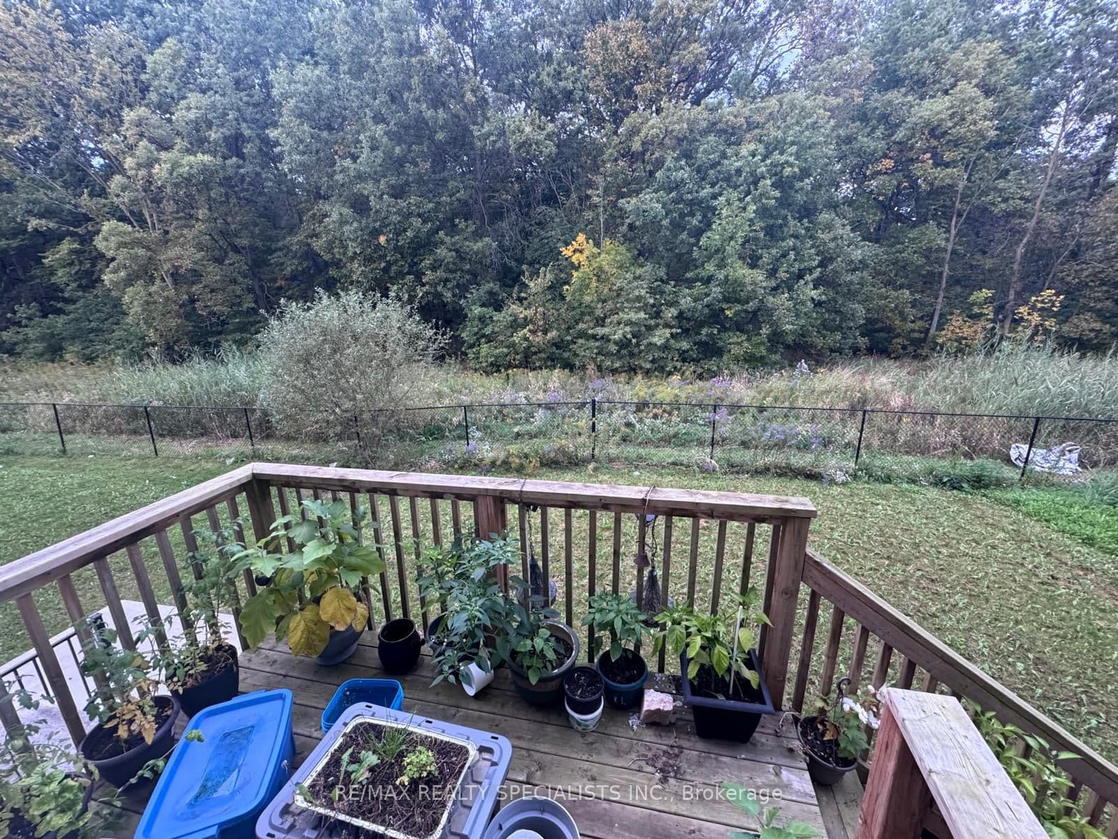 Listing 337564 Image