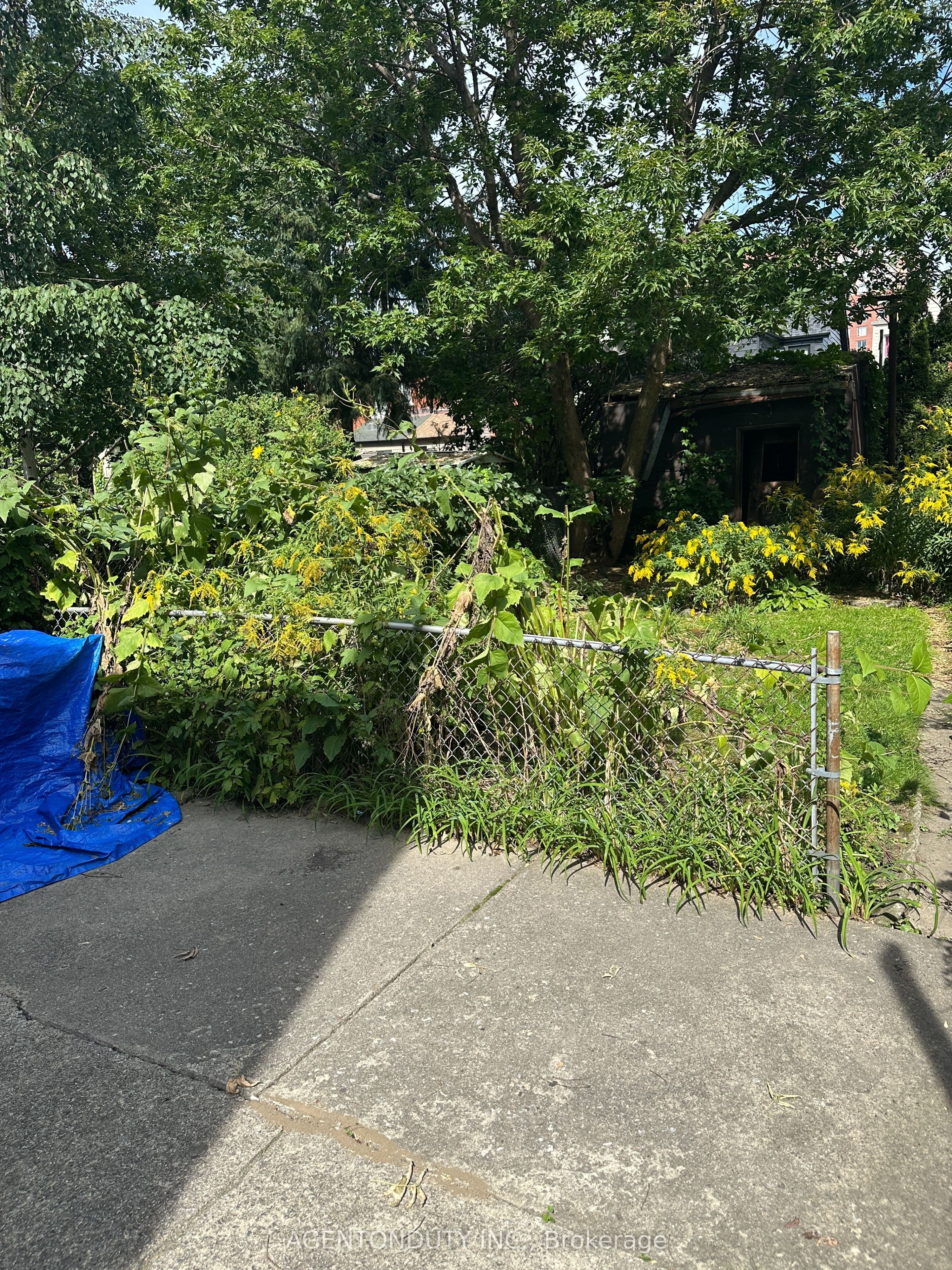 Listing 337760 Image