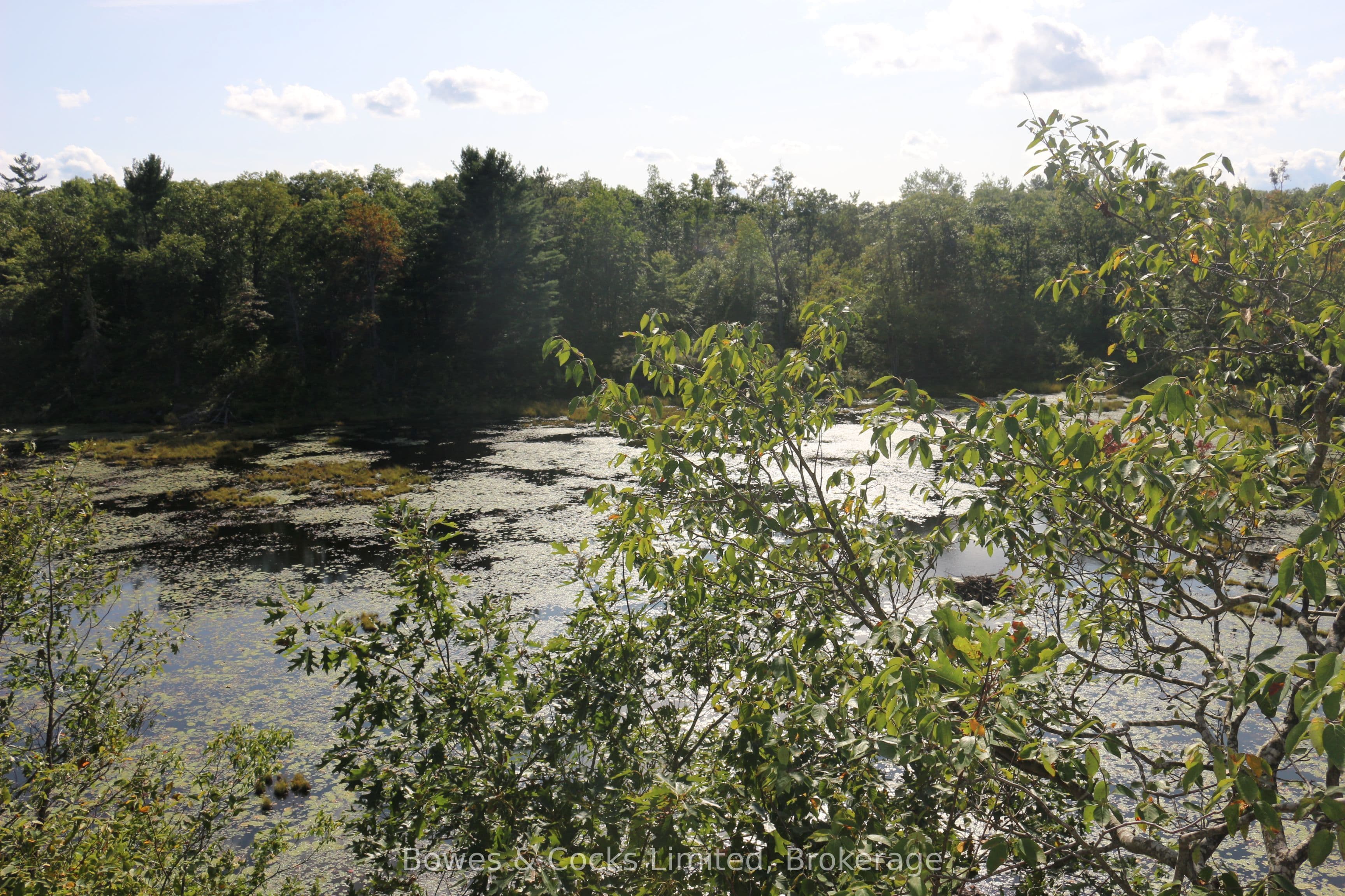 Listing 342107 Image