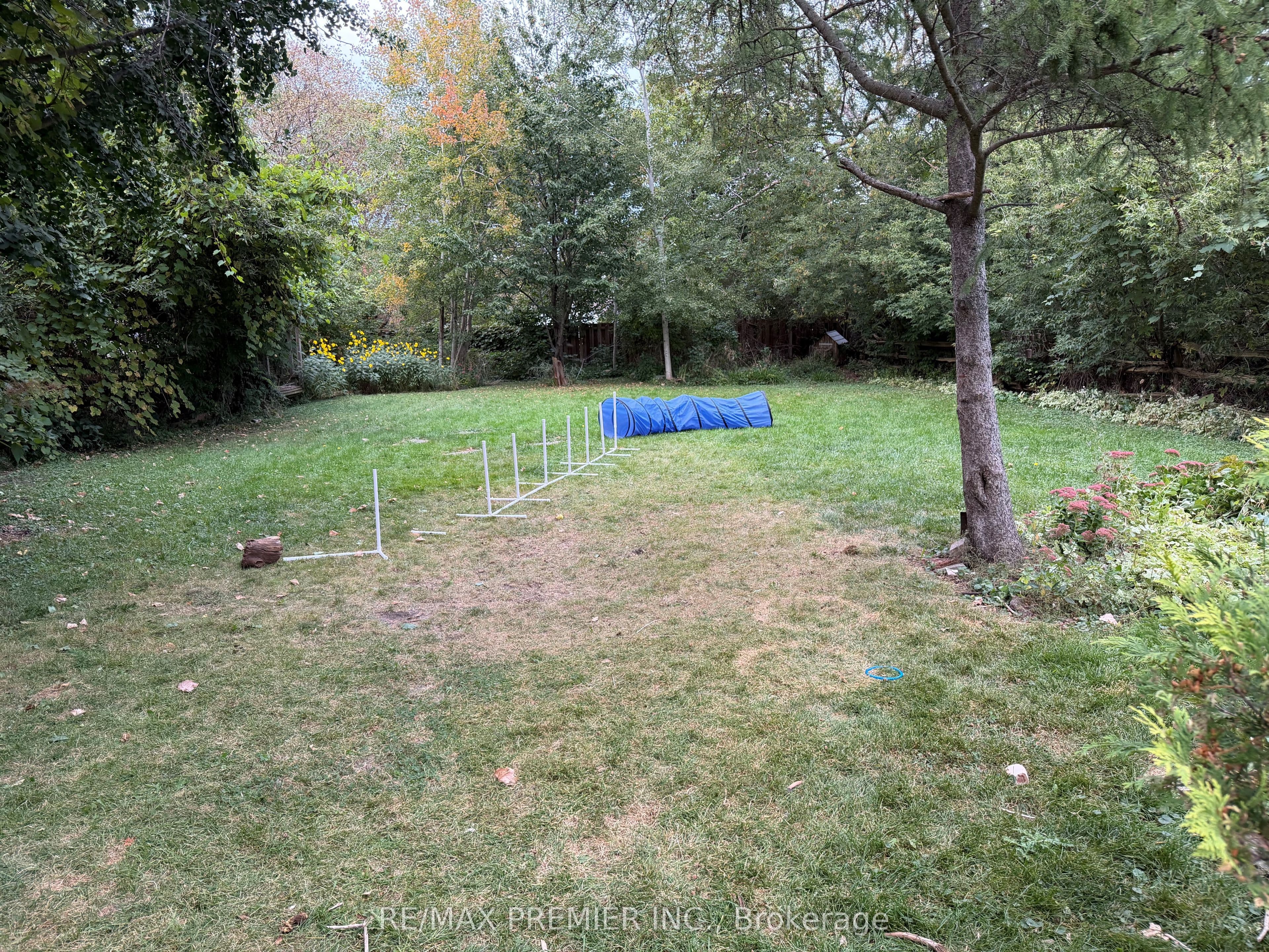 Listing 340074 Image