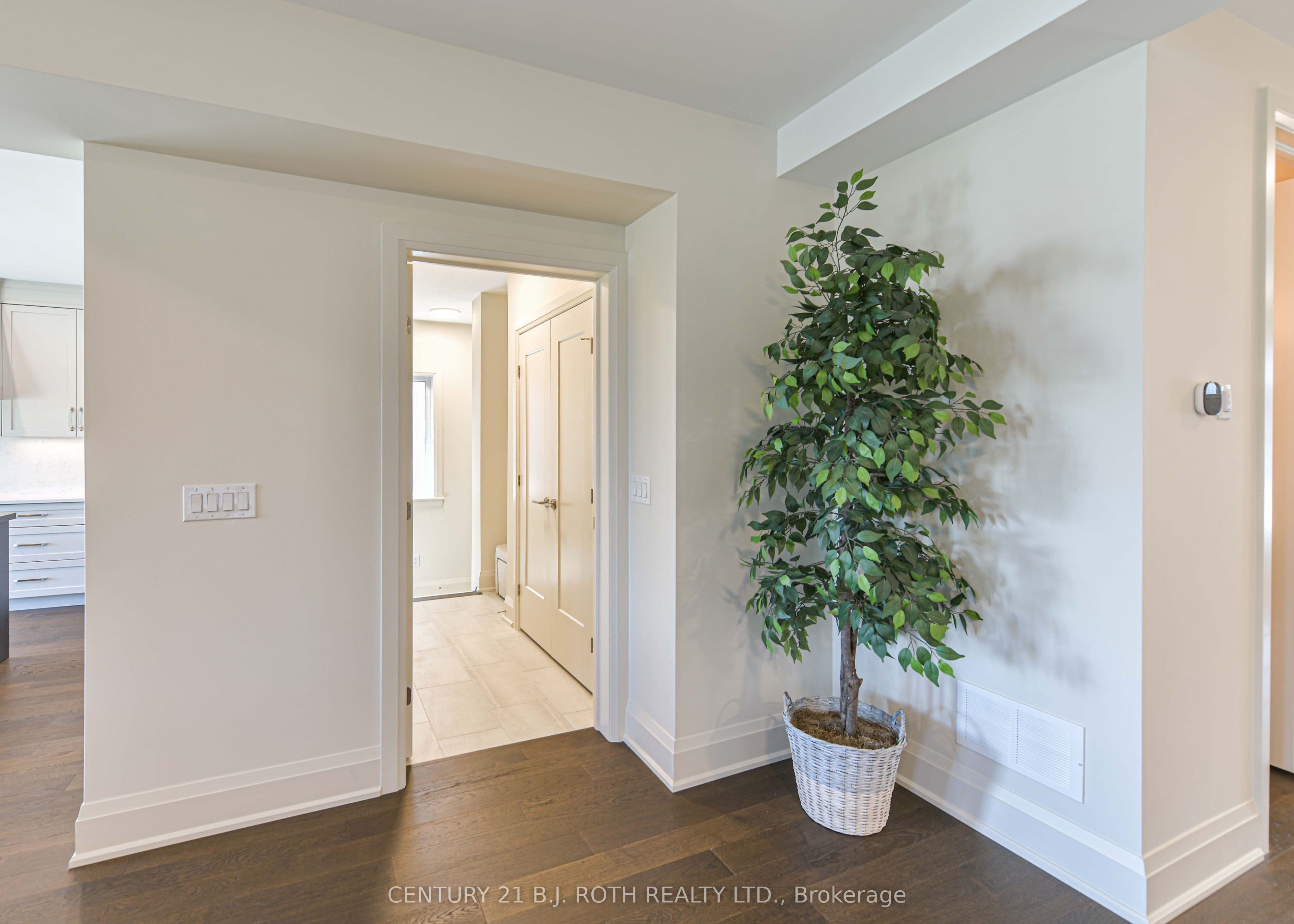 Listing 343357 Image