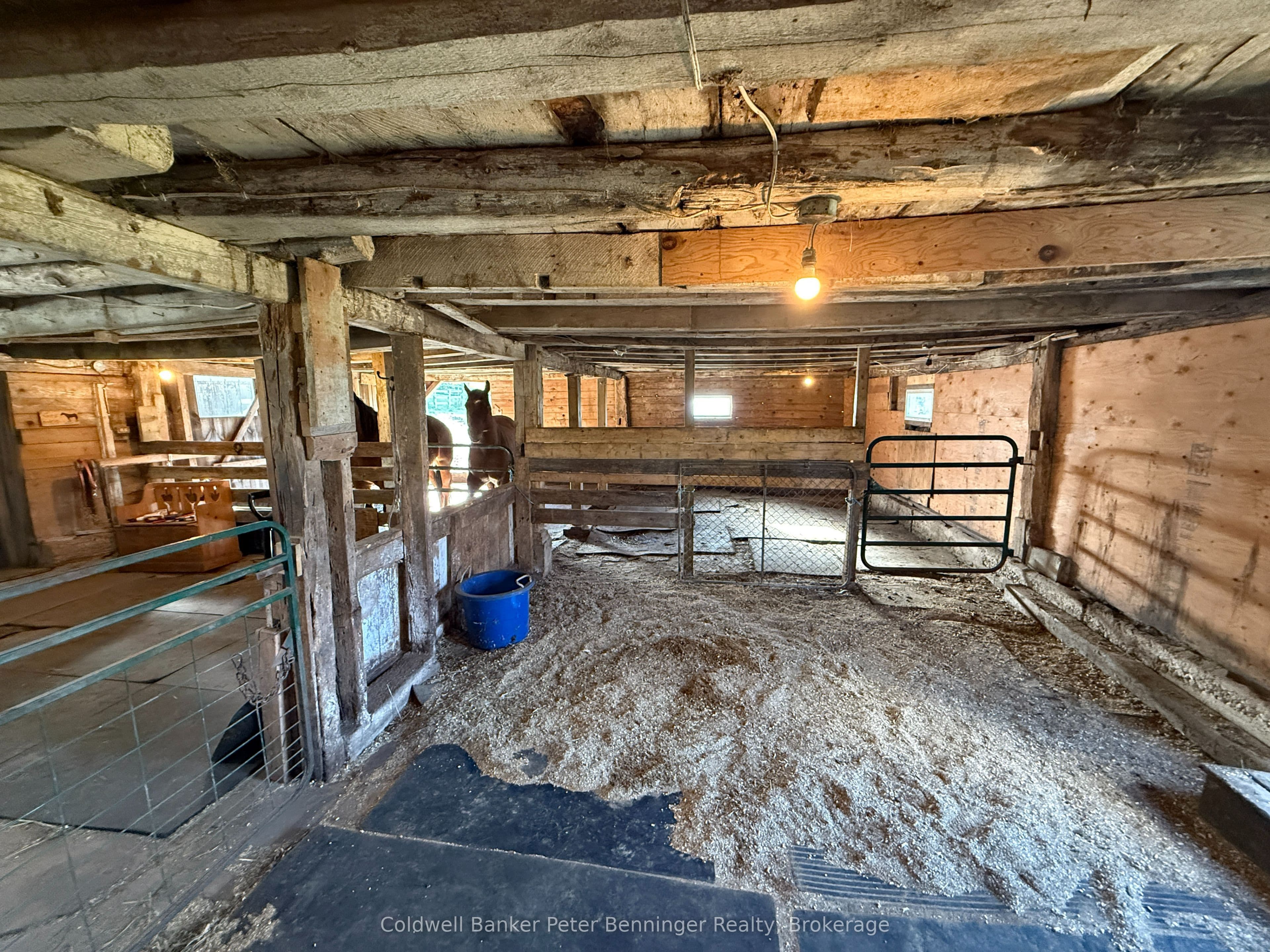 Listing 348805 Image
