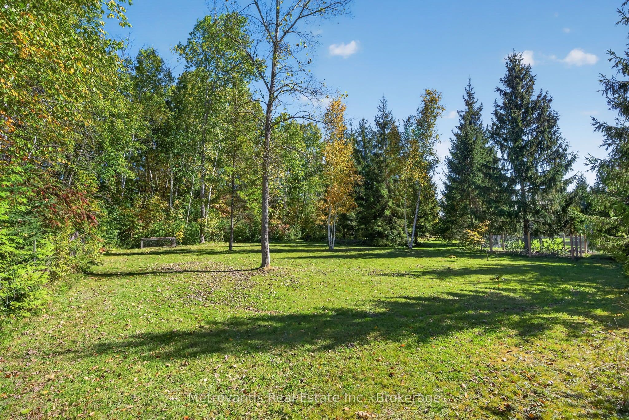 Listing 354441 Image