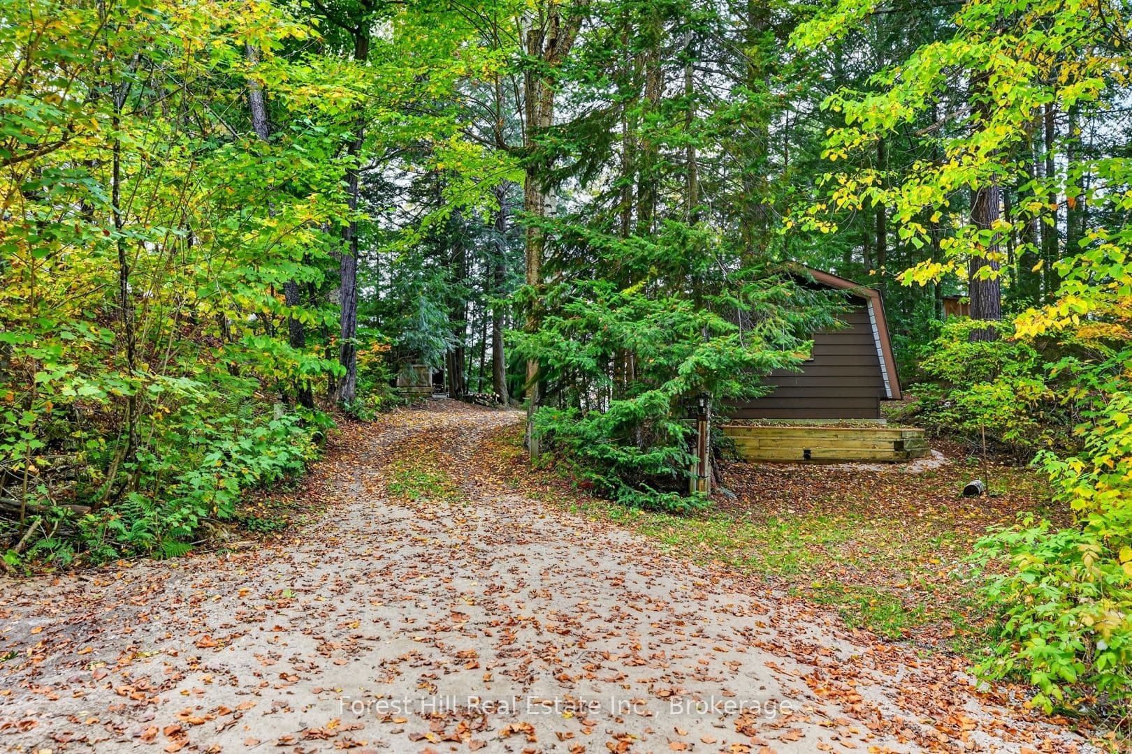 Listing 341214 Image