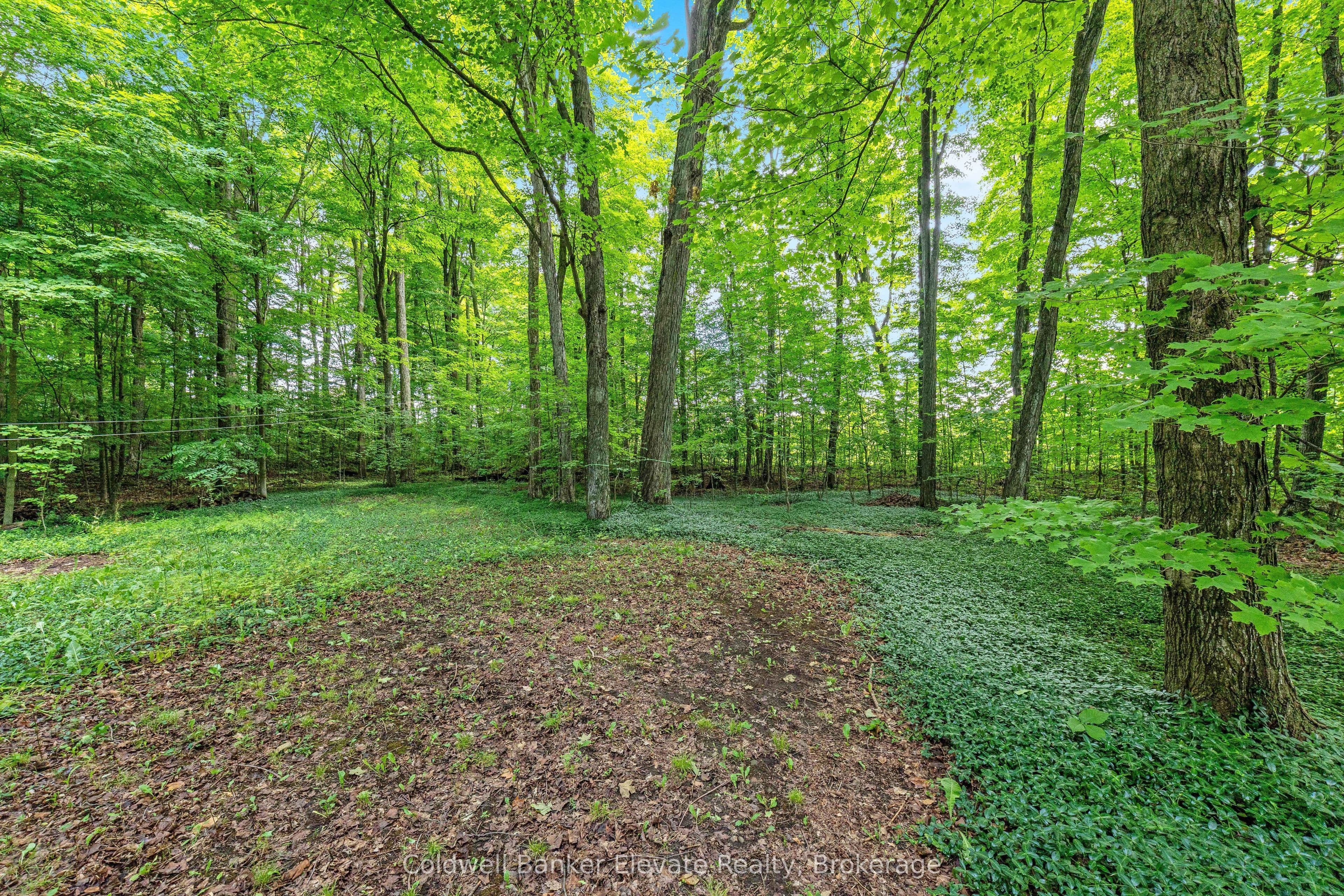 Listing 342369 Image