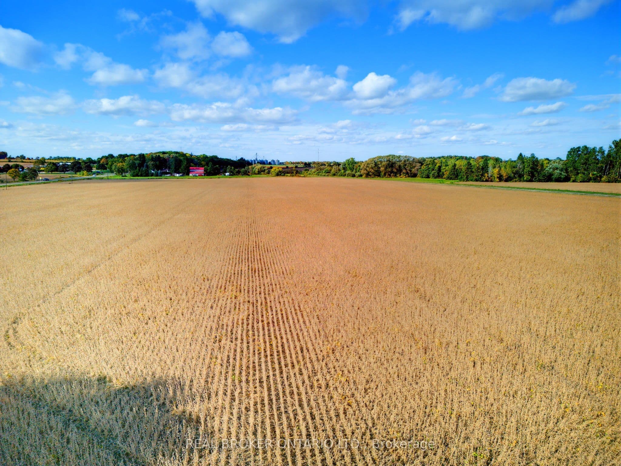 Listing 353589 Image