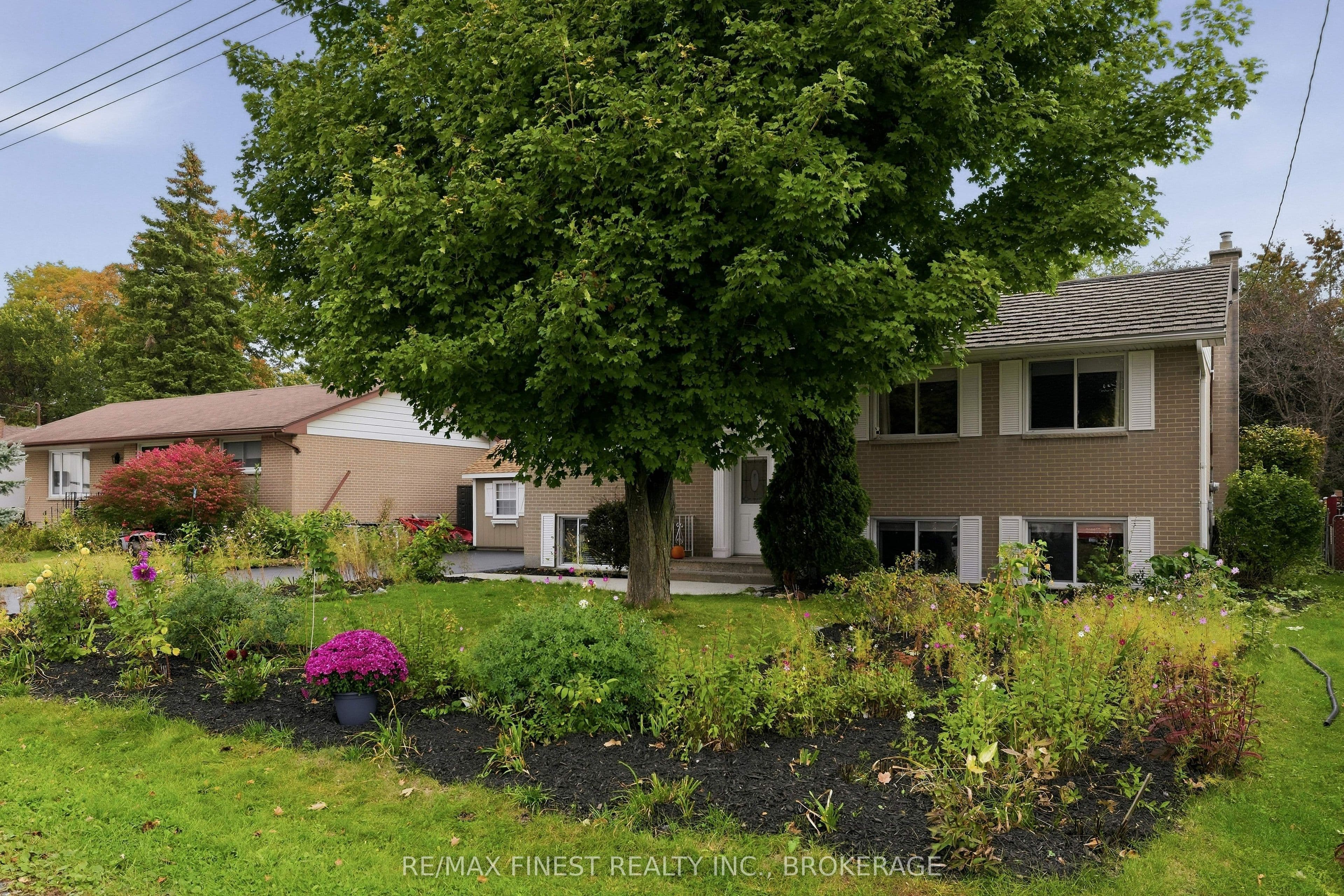Listing 342572 Image