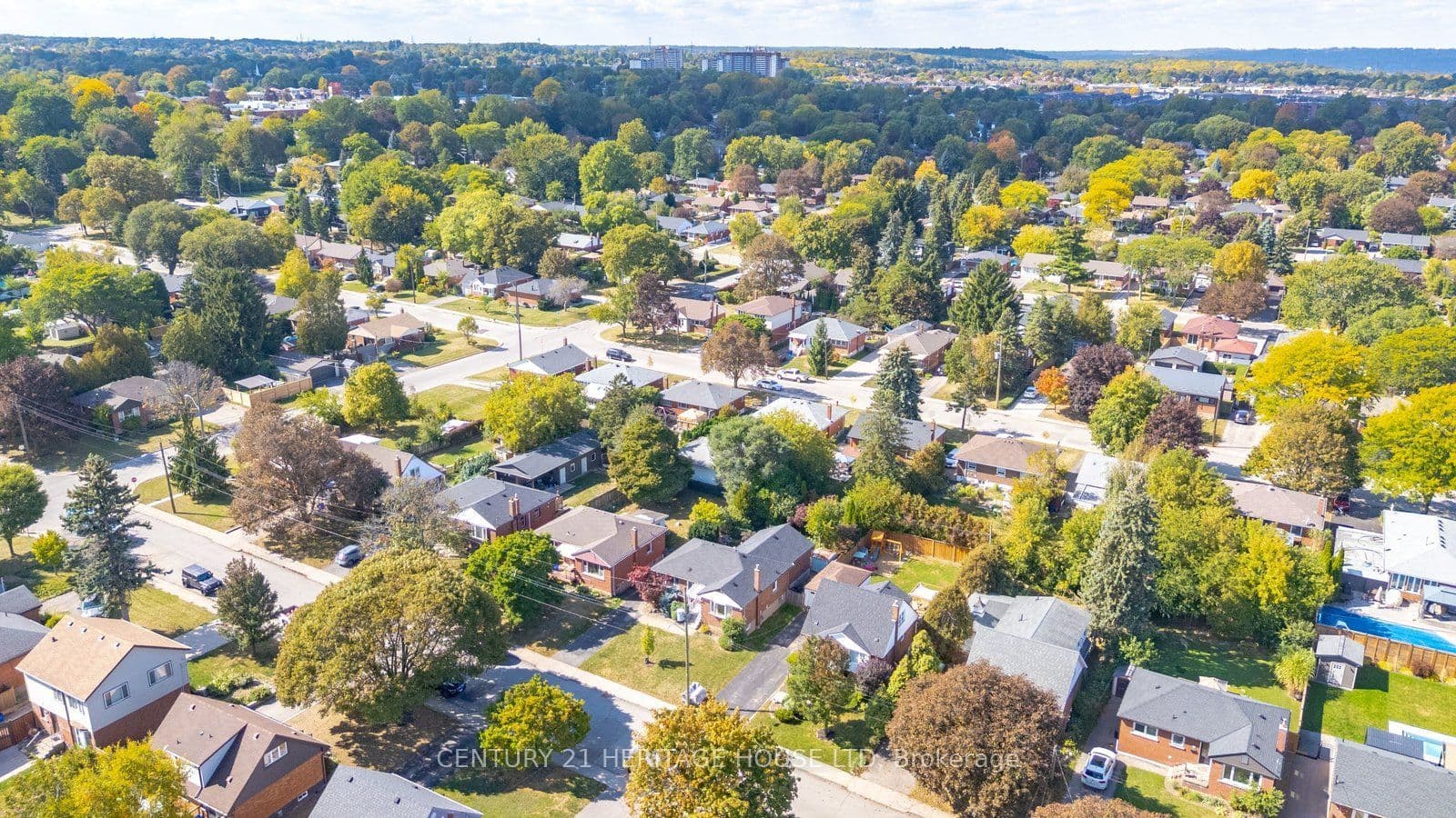 Listing 343362 Image