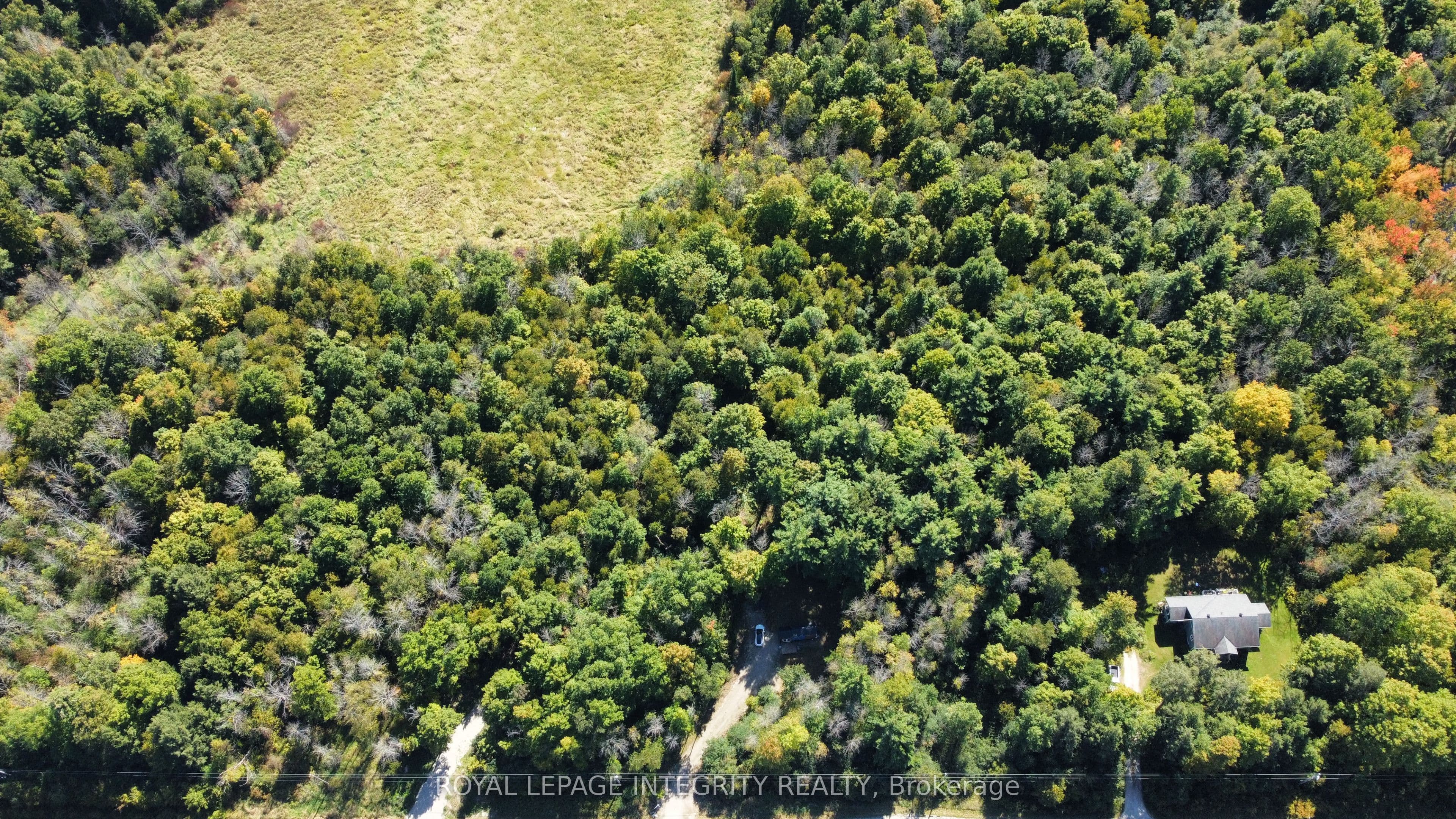 Listing 347161 Image