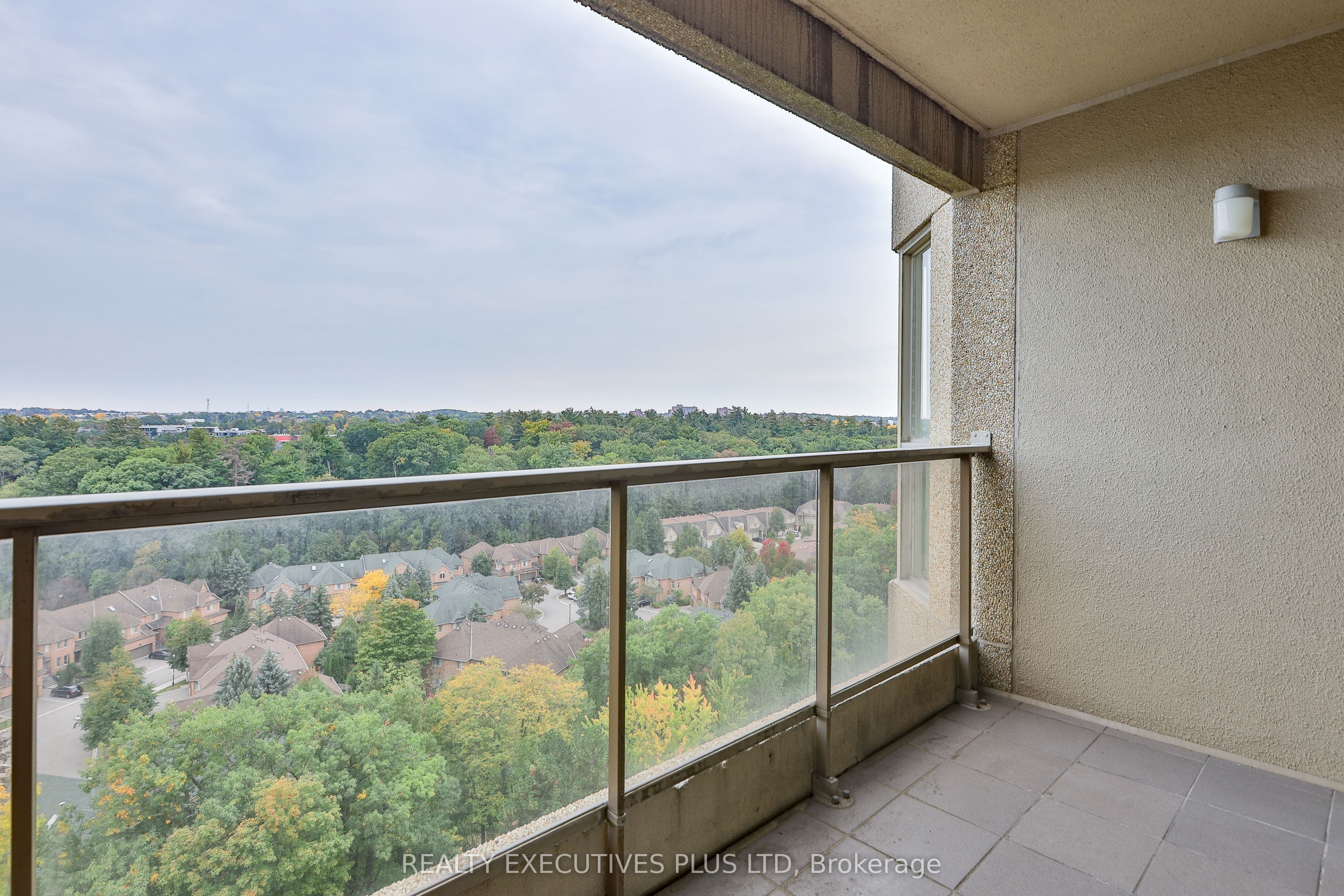 Listing 347549 Image