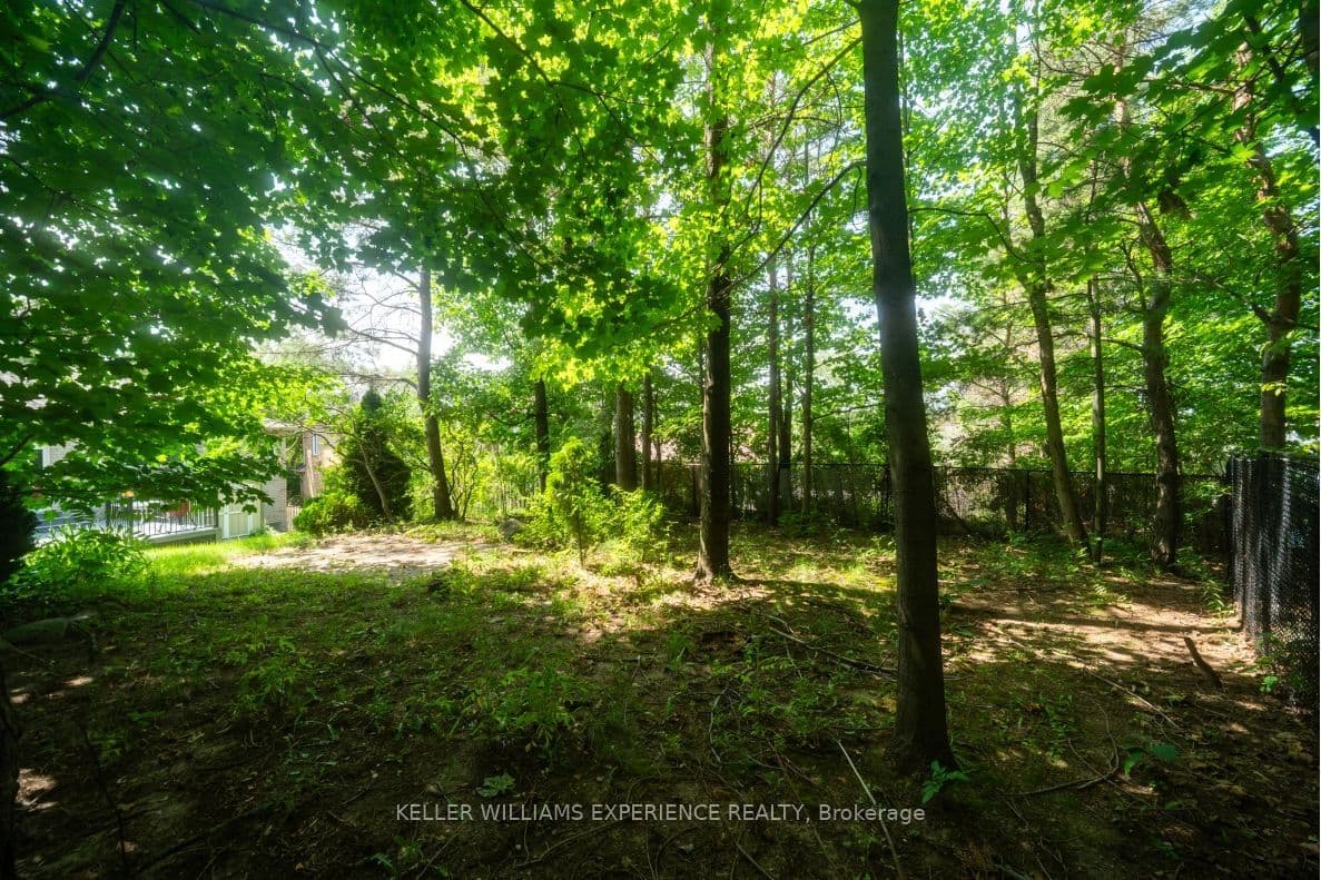 Listing 346925 Image