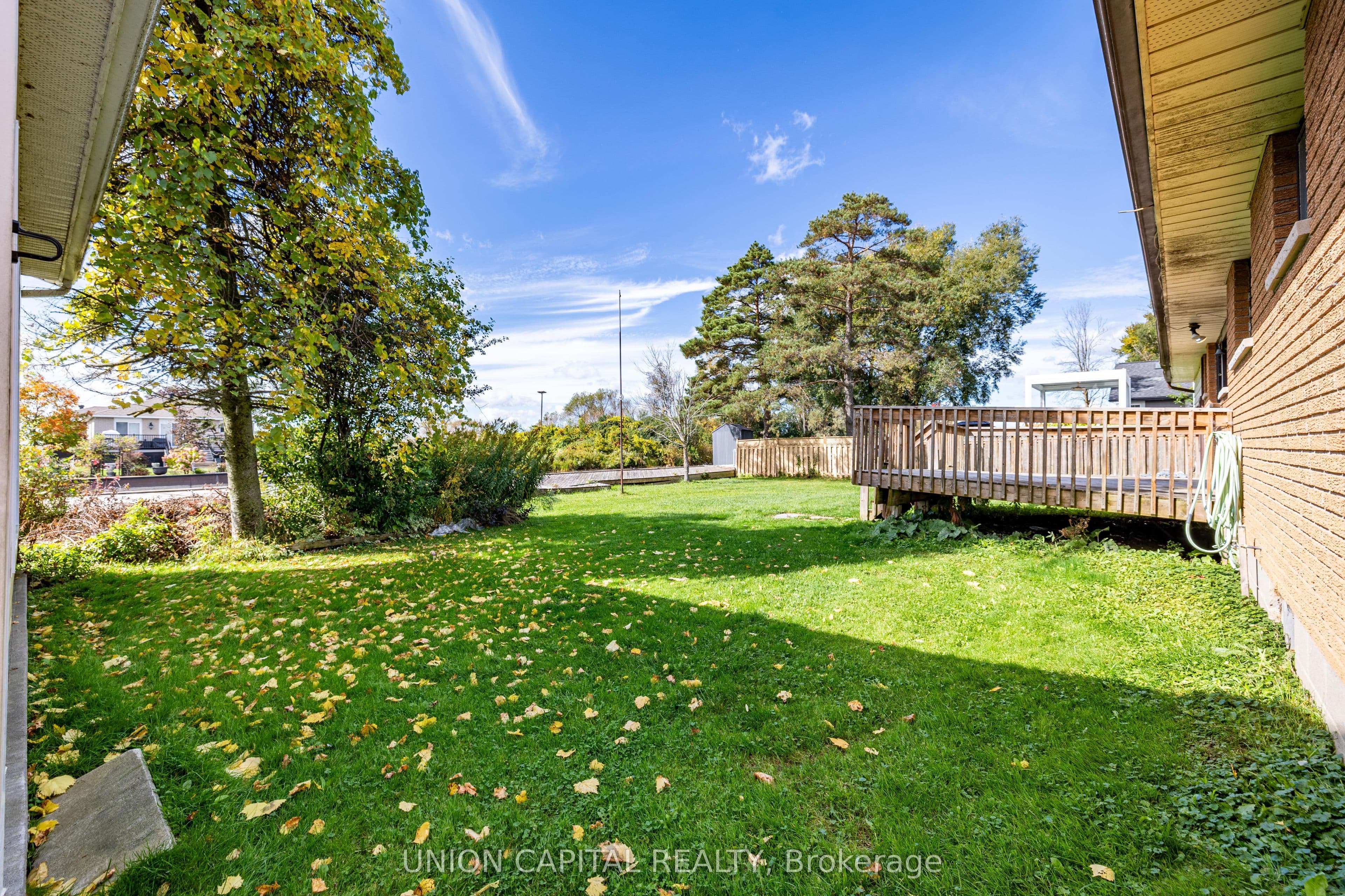 Listing 346761 Image