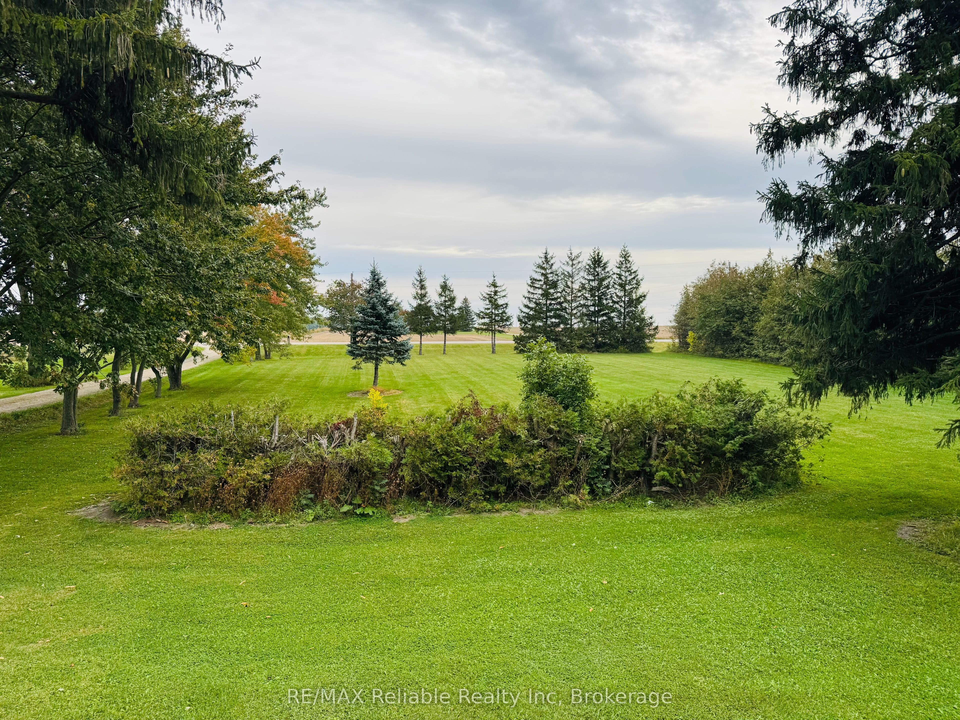 Listing 351607 Image