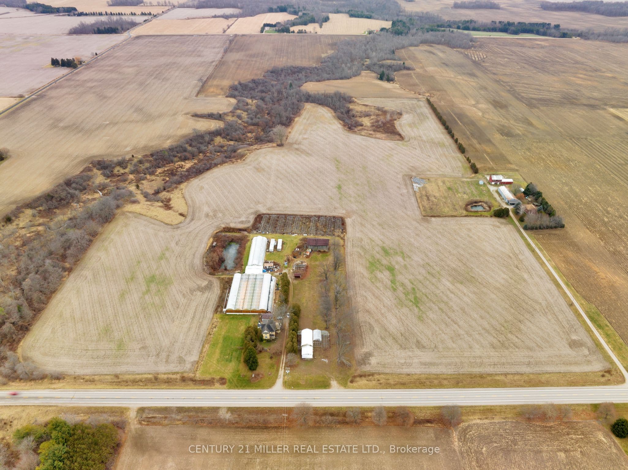Listing 365640 Image
