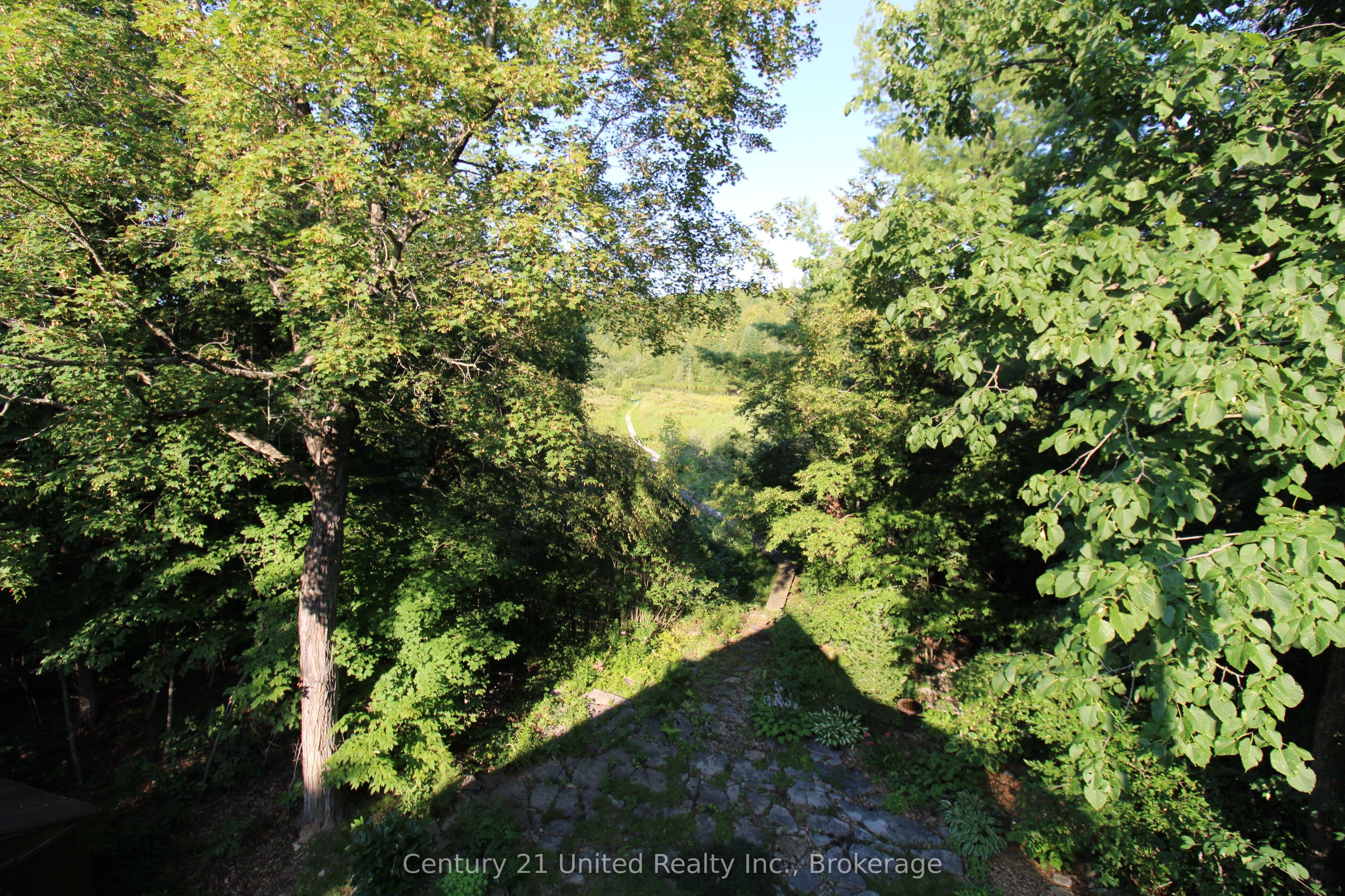 Listing 346754 Image
