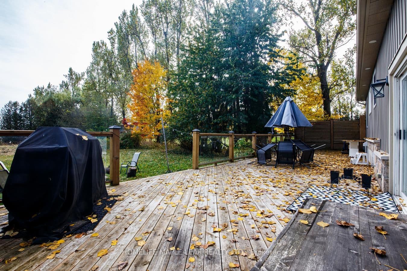 Listing 346976 Image