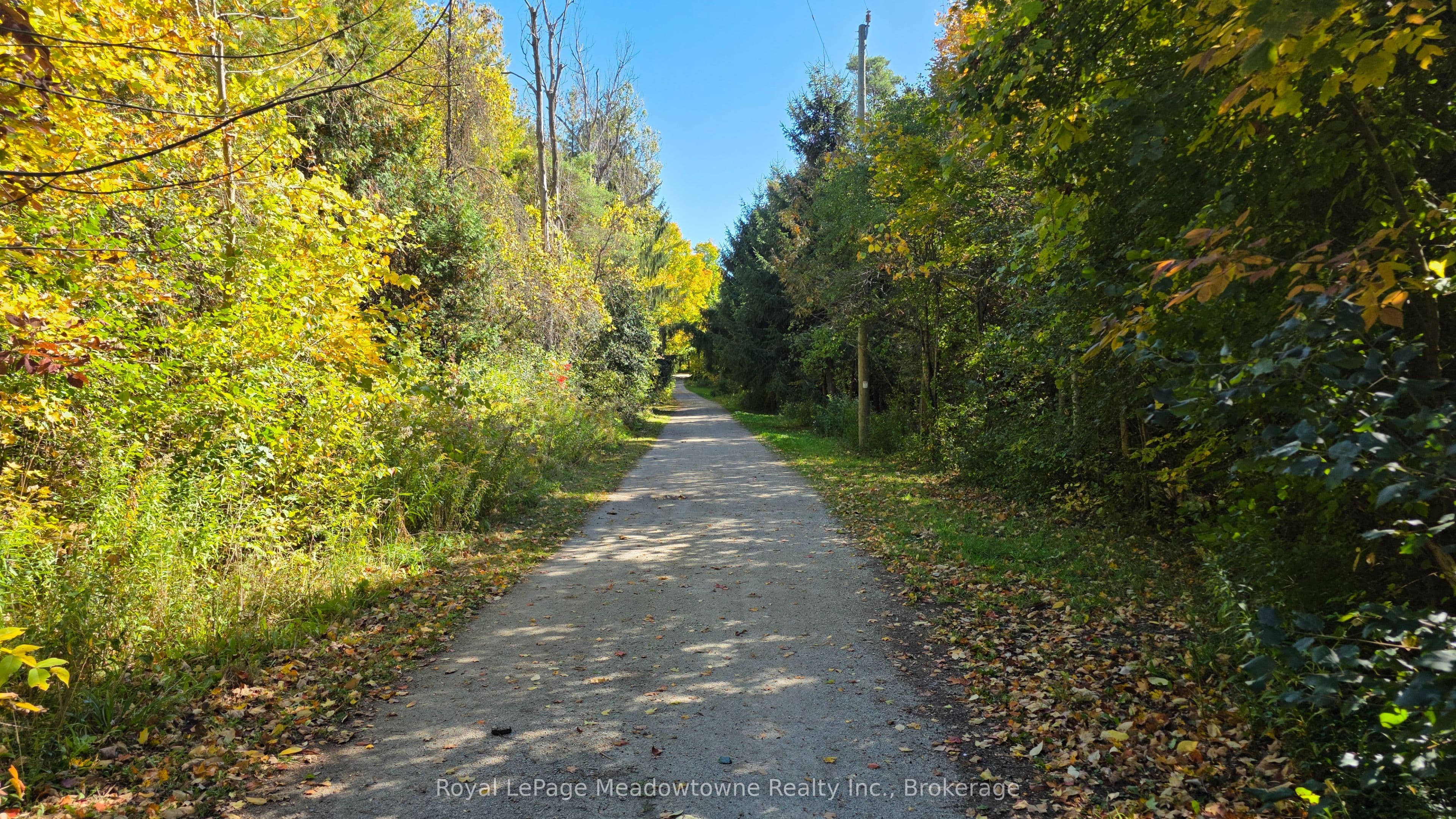 Listing 348211 Image