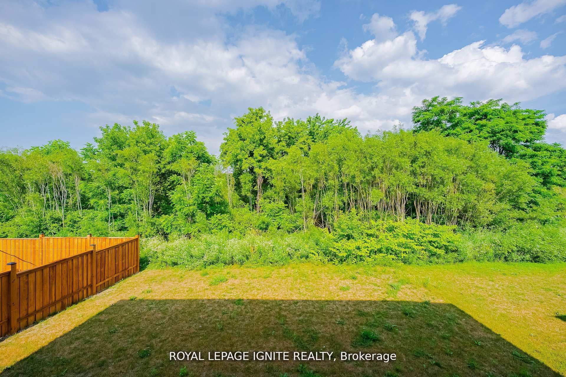 Listing 348317 Image