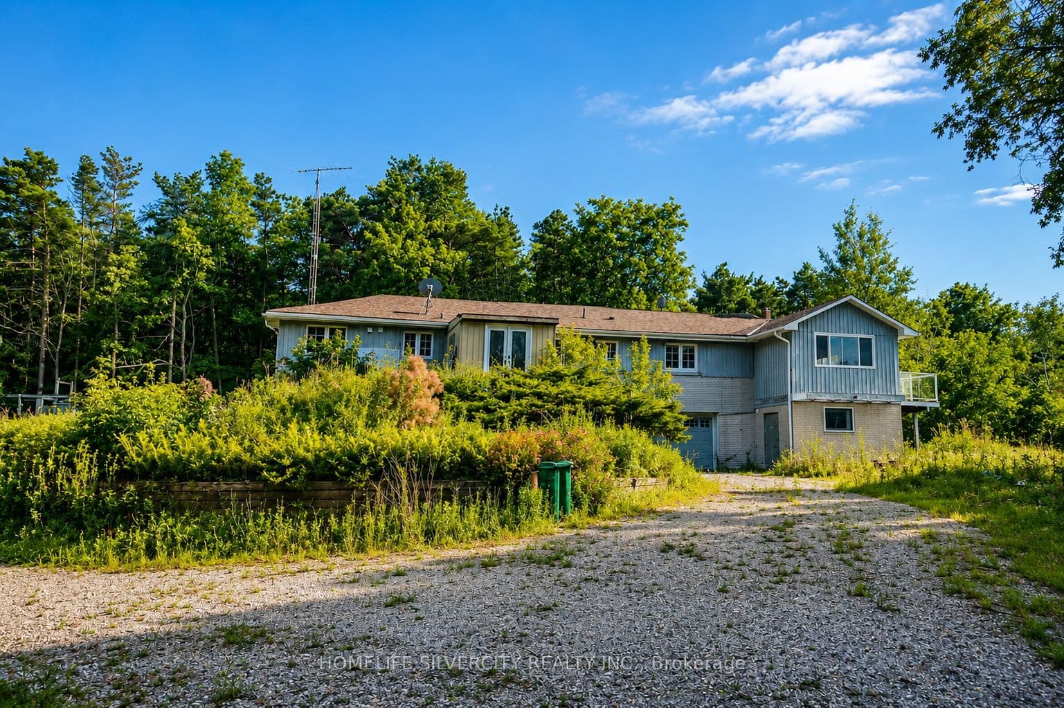 Listing 348779 Image