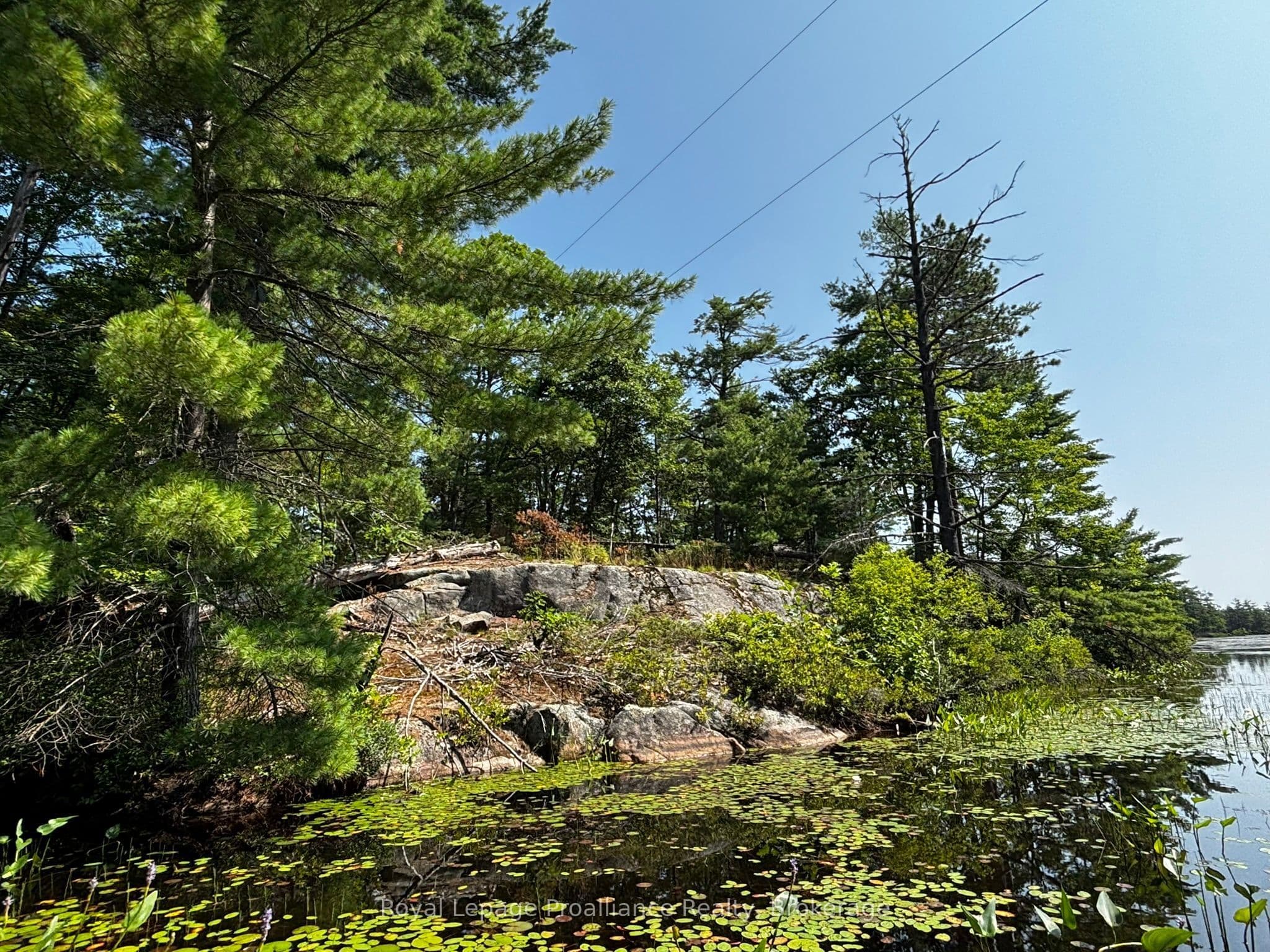 Listing 349468 Image