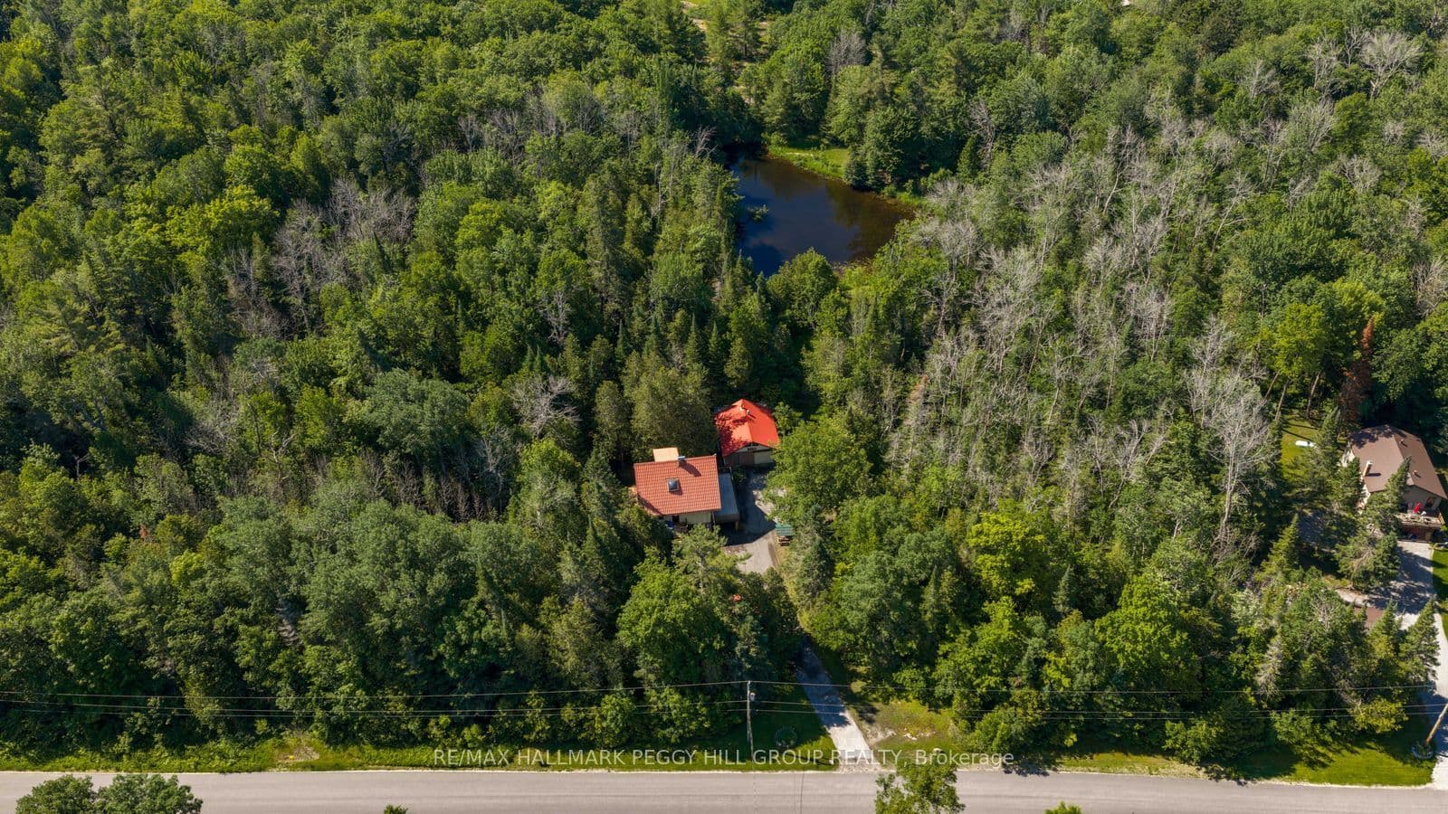 Listing 353497 Image