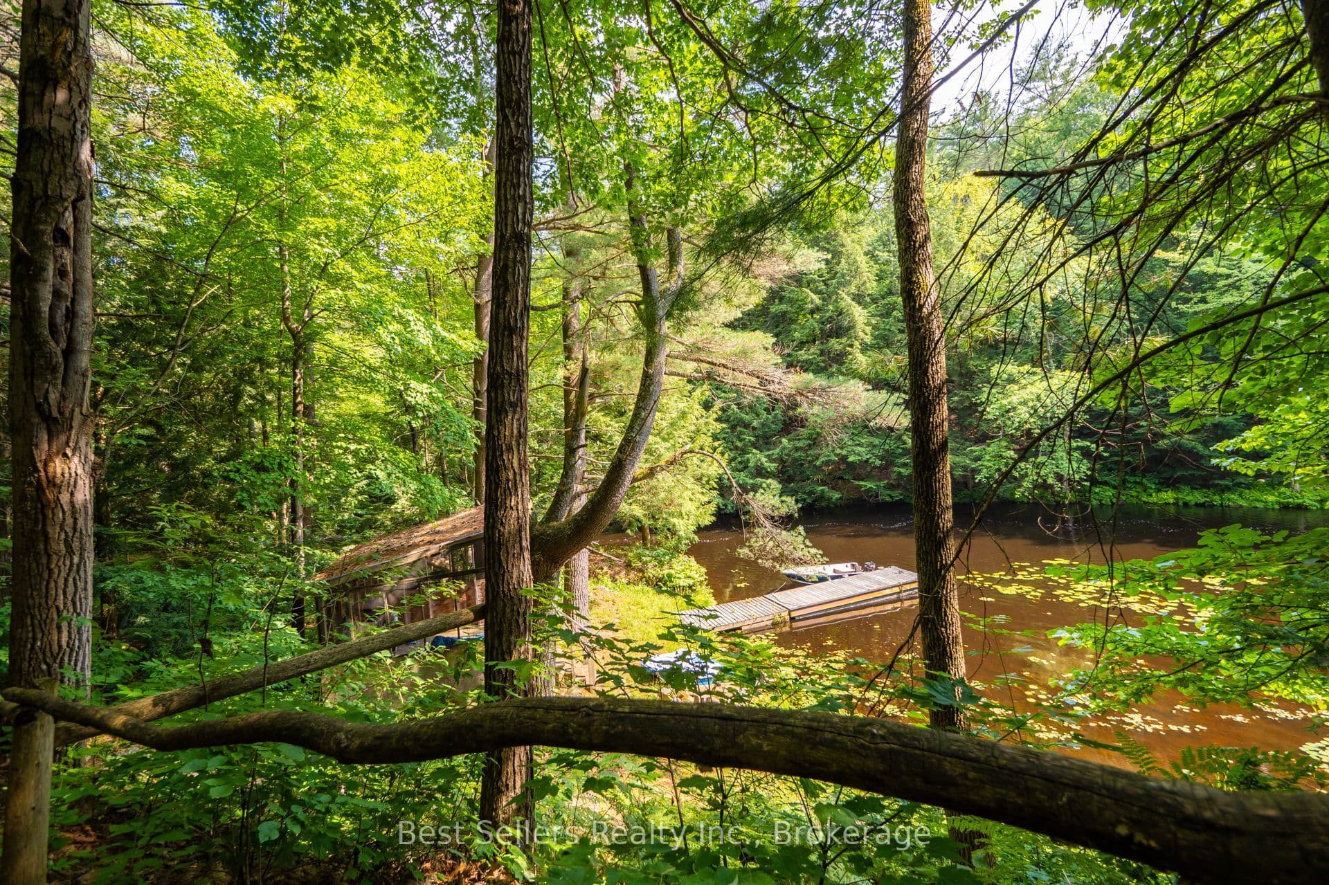 Listing 351039 Image