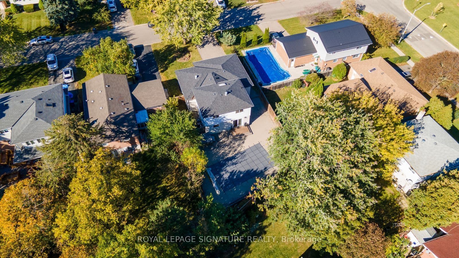 Listing 350293 Image