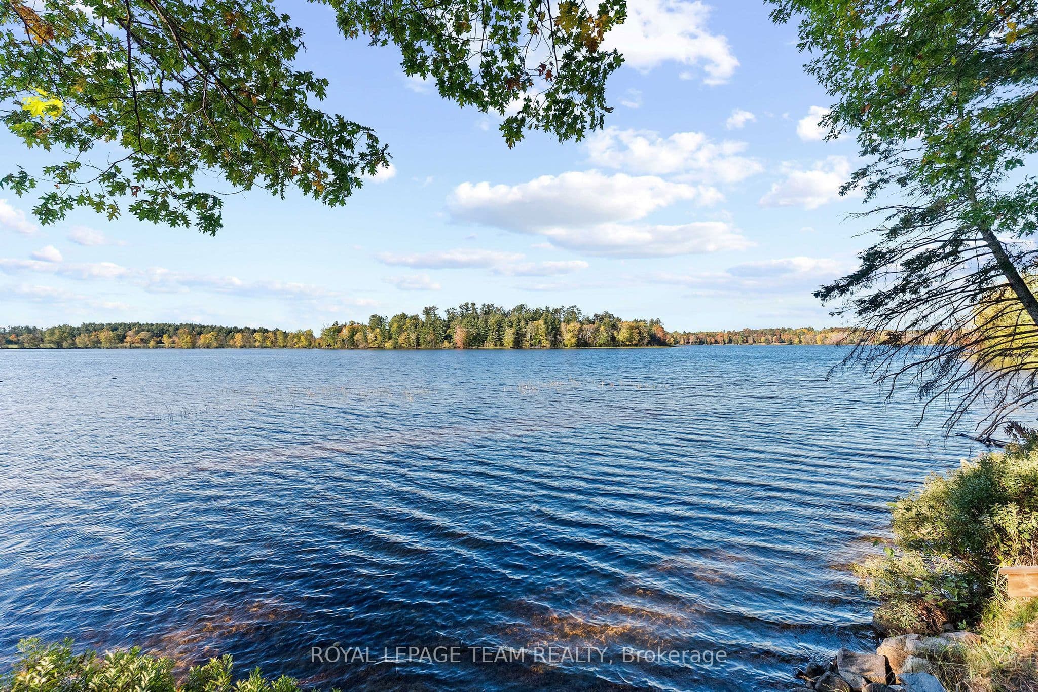 Listing 356008 Image