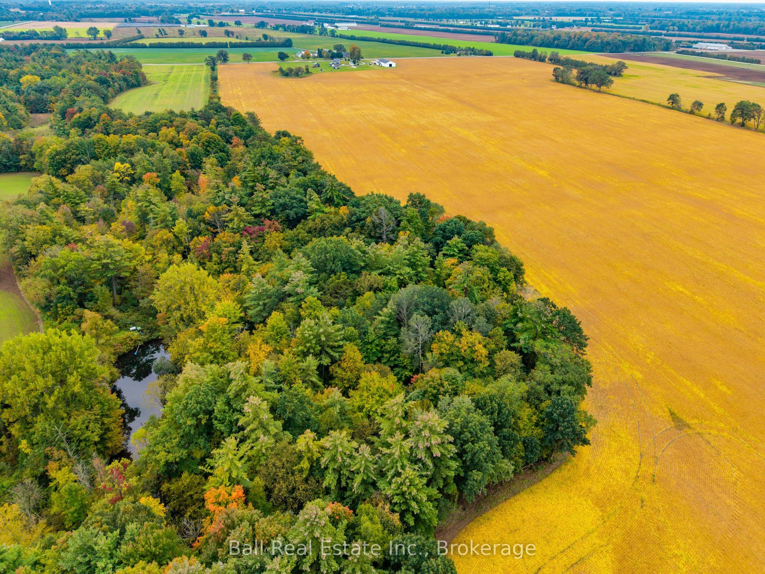 Listing 350762 Image