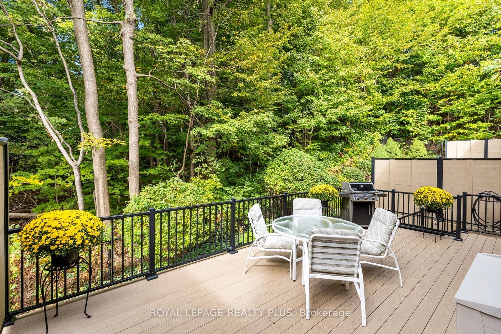 Listing 352891 Image