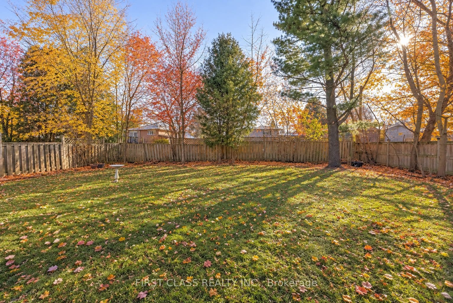 Listing 359787 Image