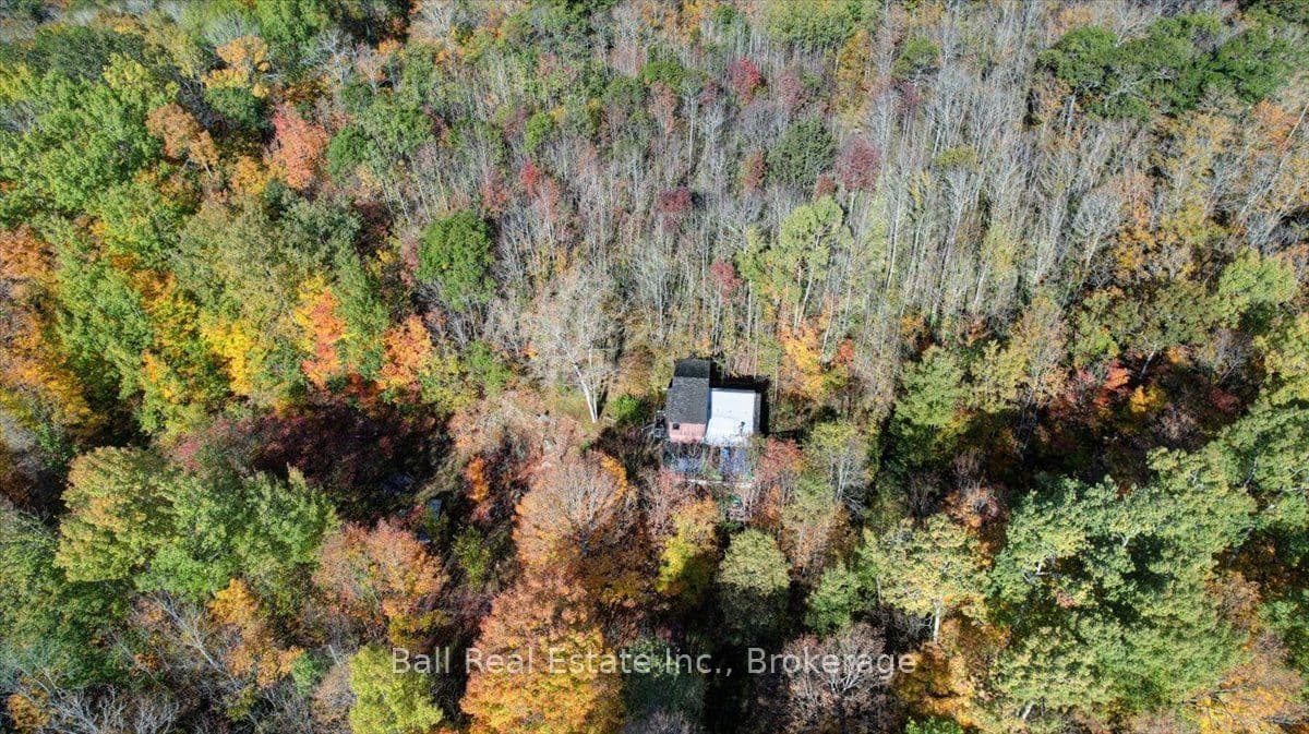 Listing 352998 Image