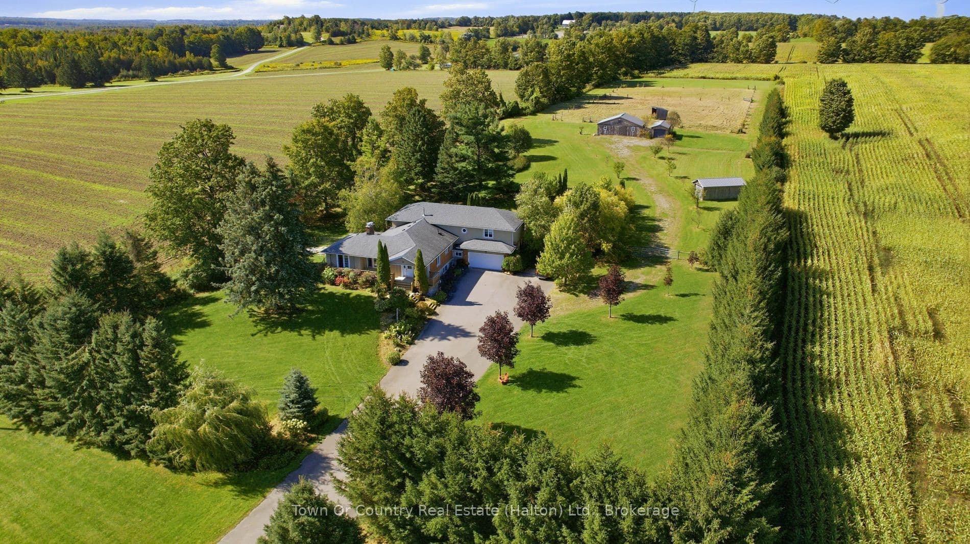 Main Property