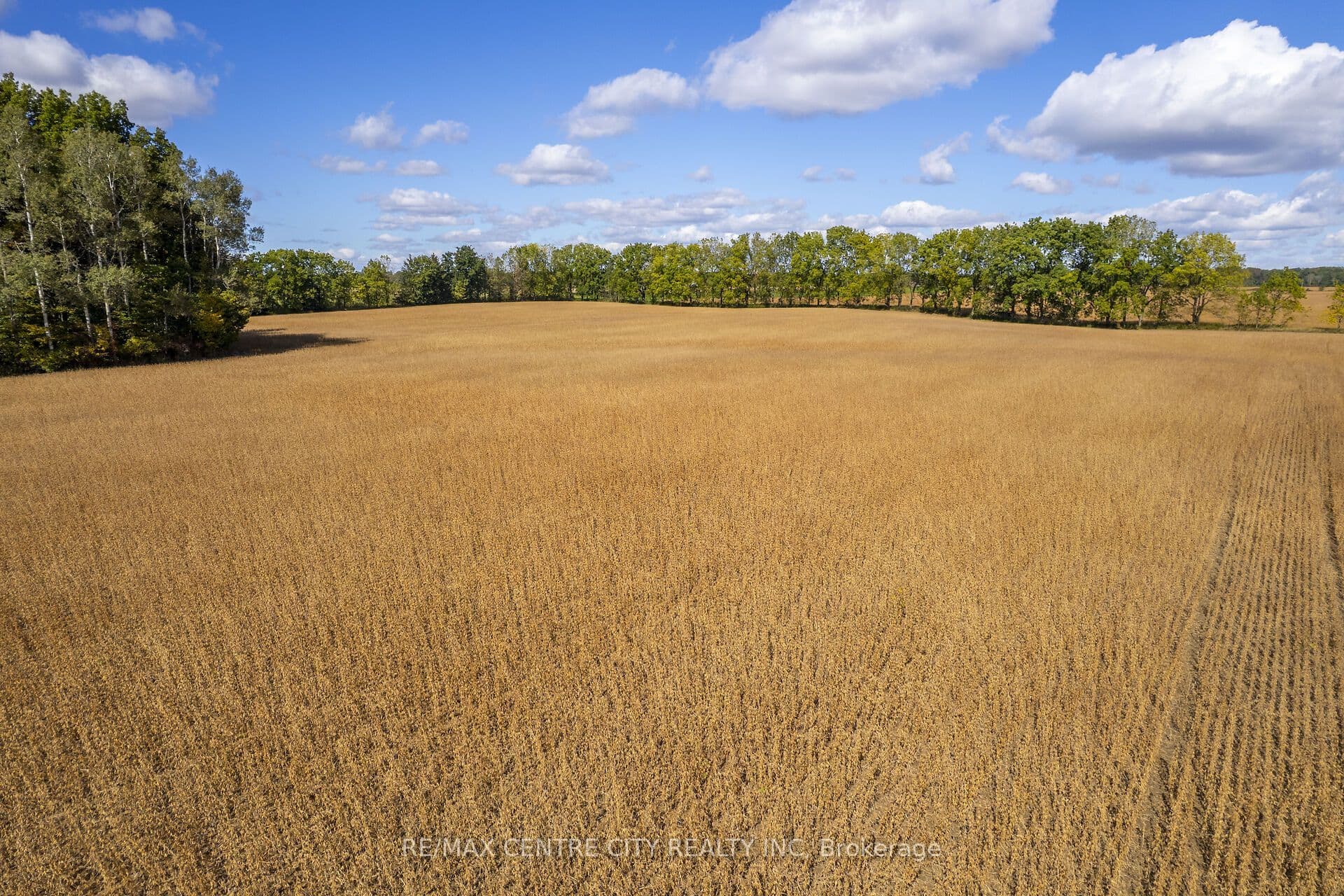 Listing 359176 Image