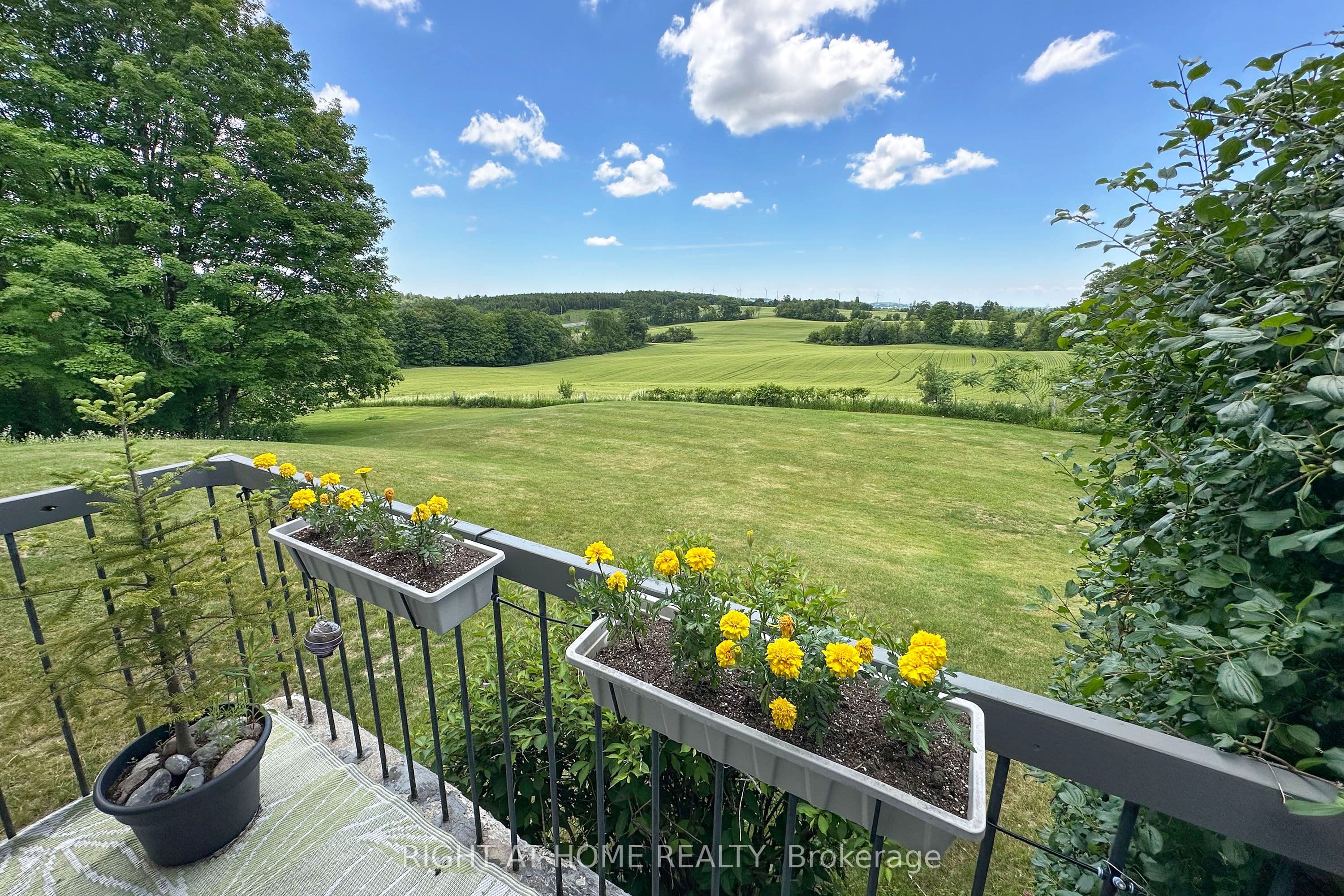 Listing 356906 Image