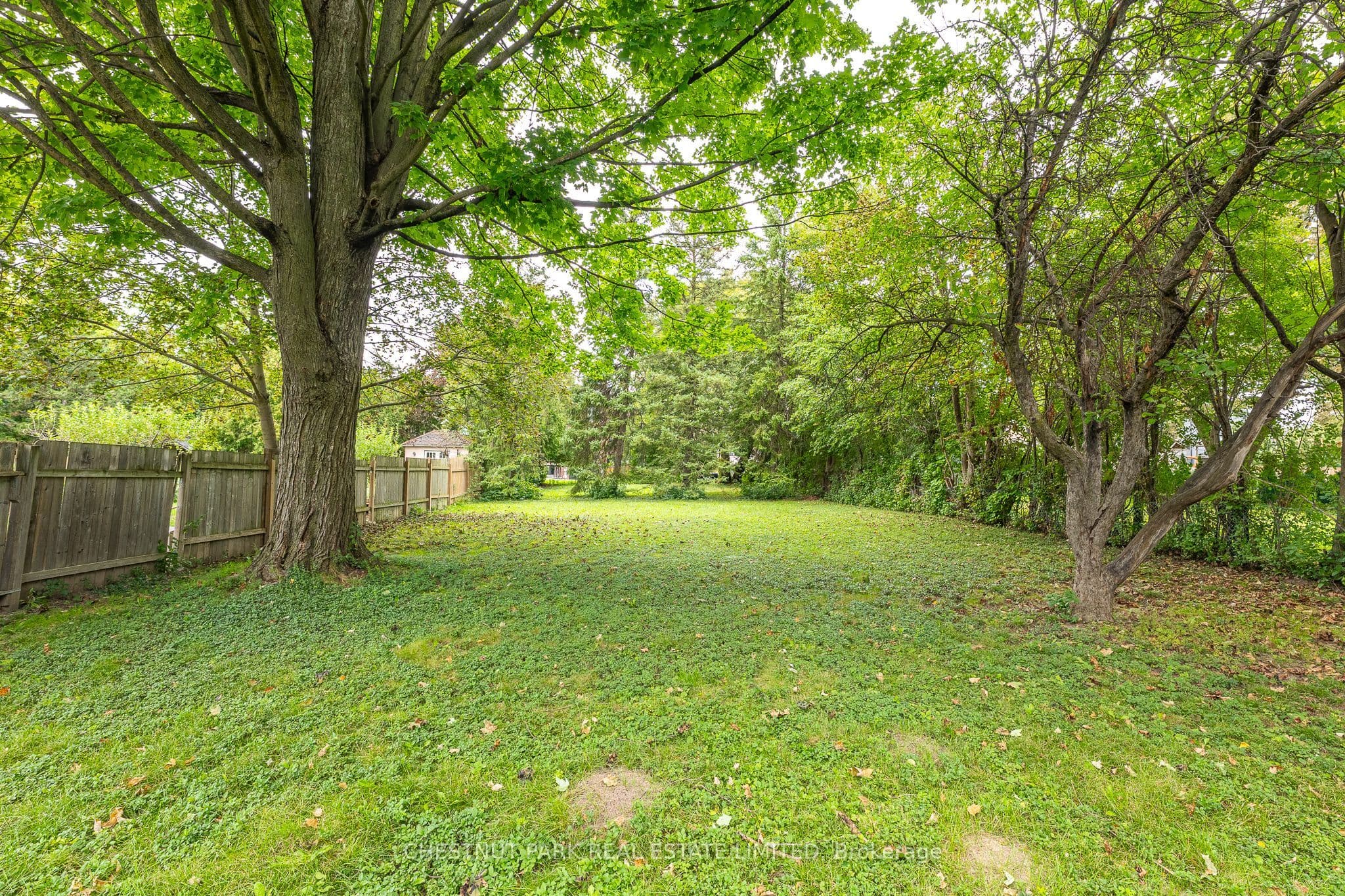 Listing 352279 Image