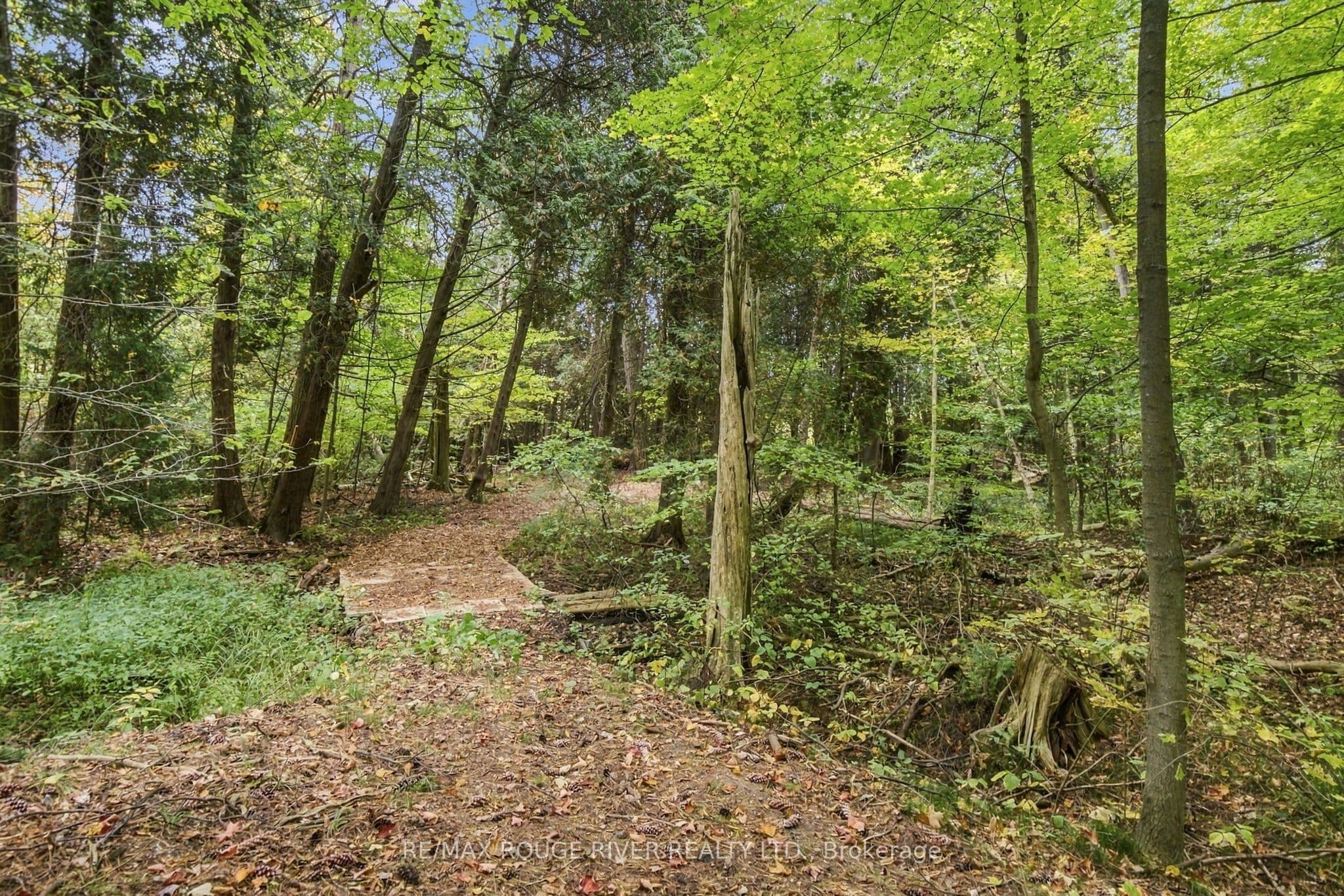 Listing 355115 Image